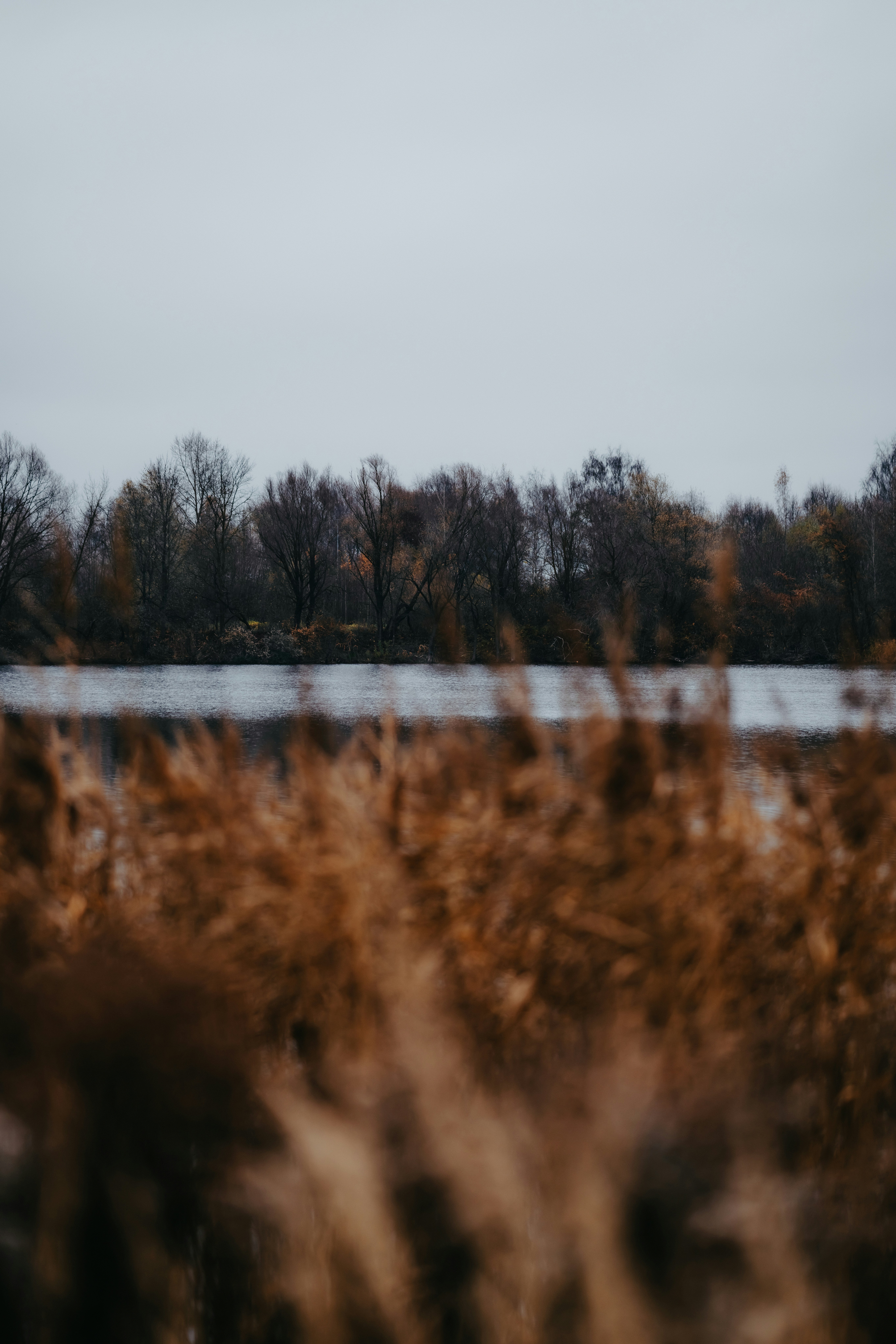 Photo by kristapsungurs