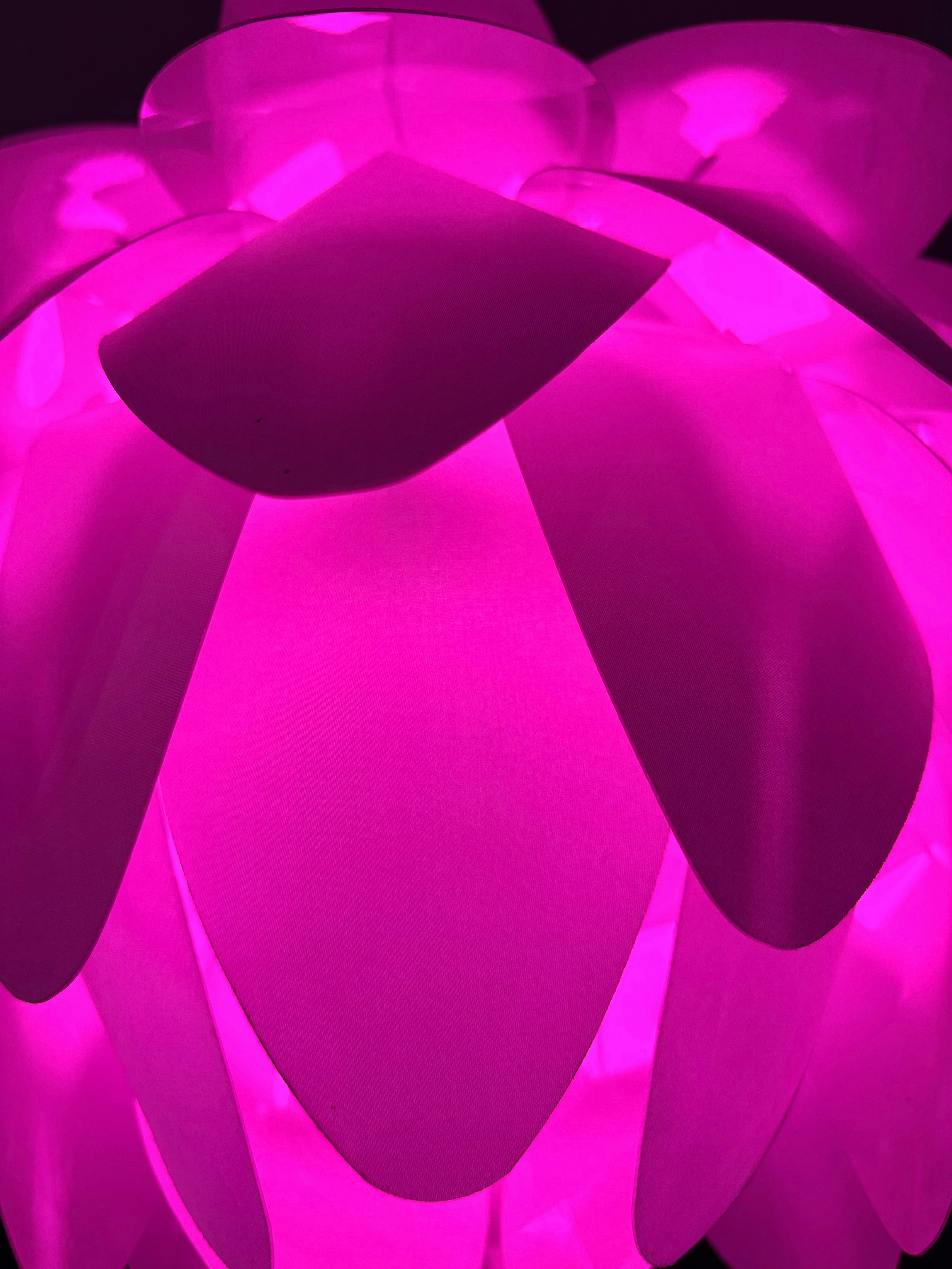 Close-up of a glowing pink lotus flower lamp.