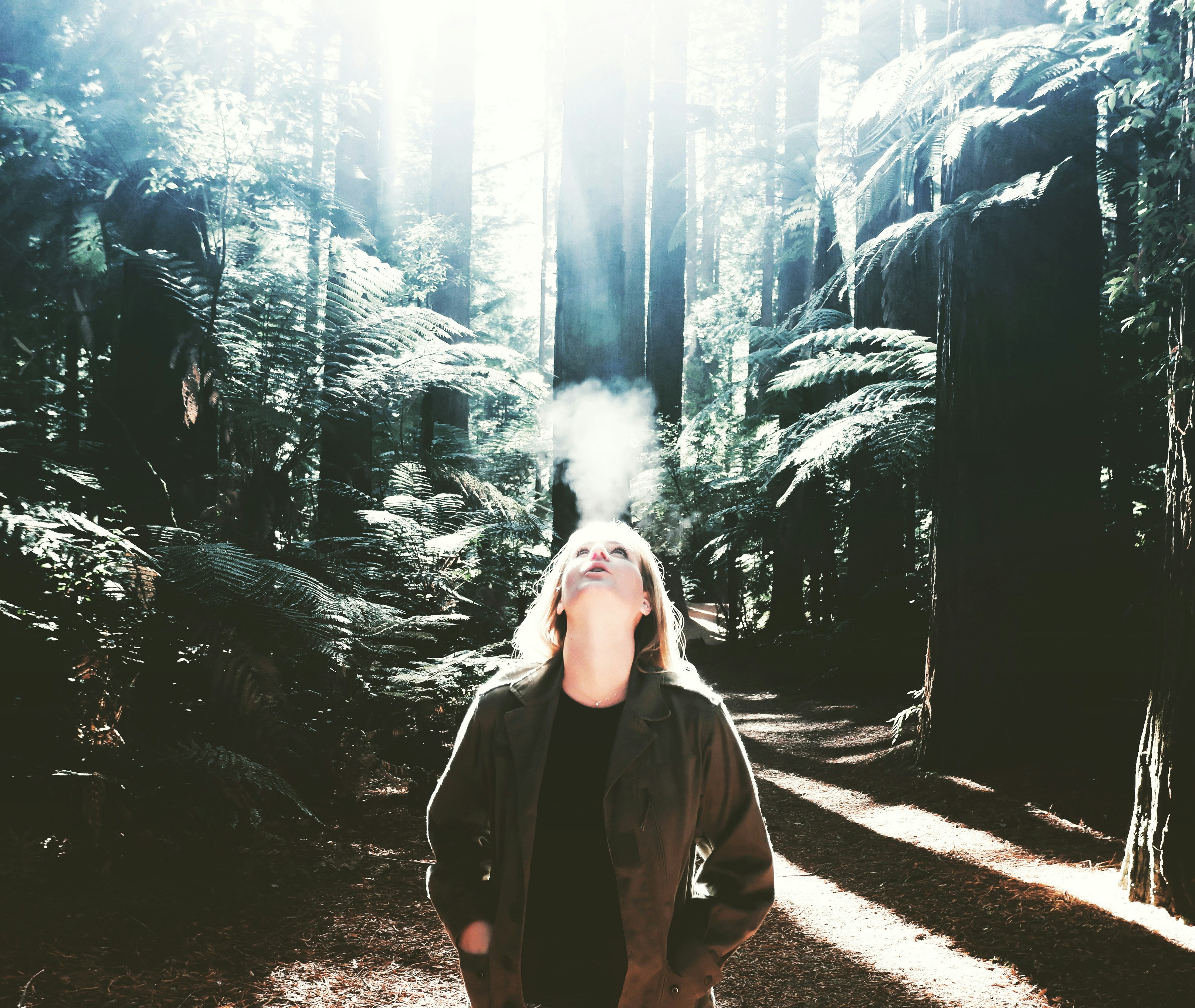 Femme regardant vers le haut dans la forêt ensoleillée avec de grands arbres