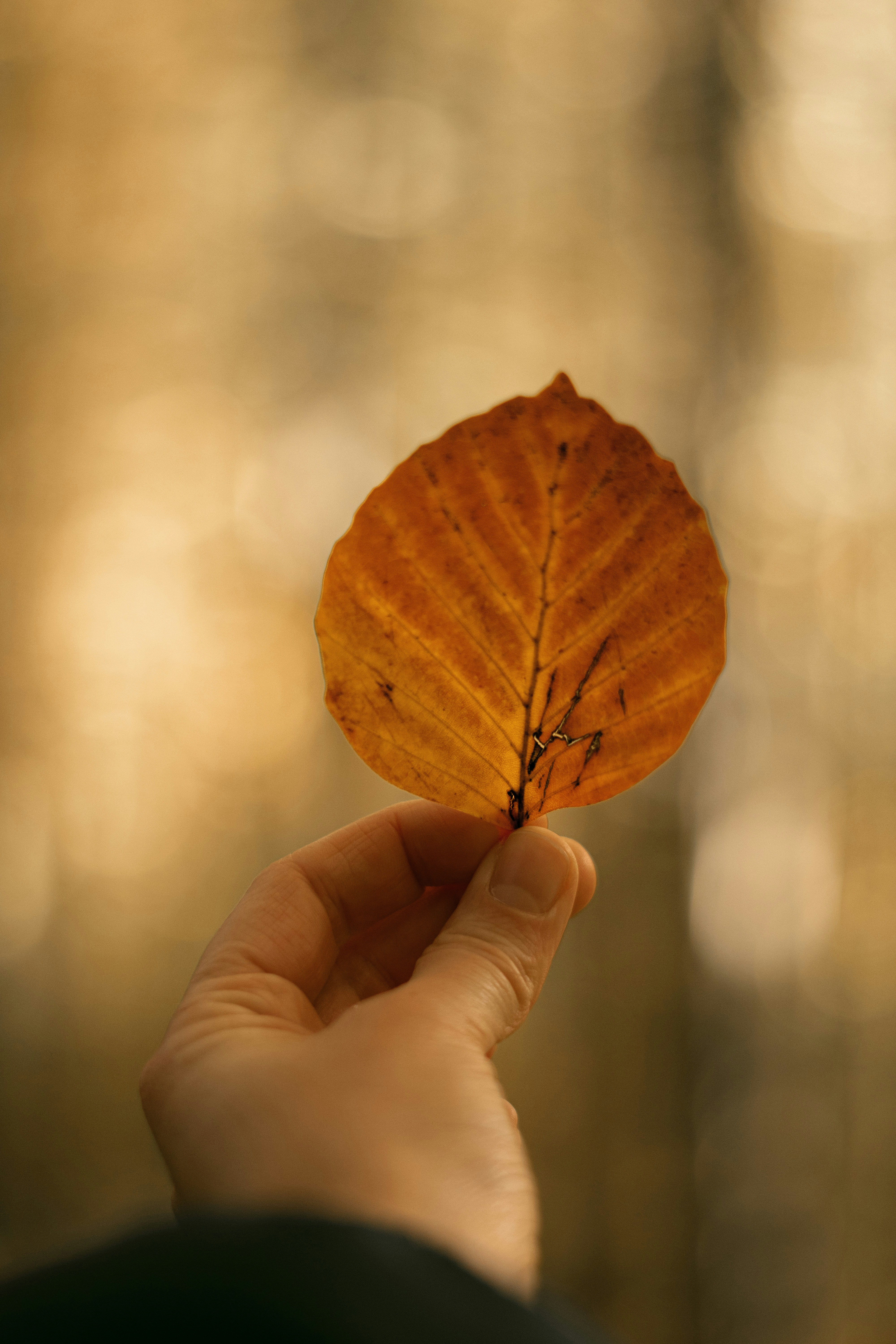 Photo by karynaviktori