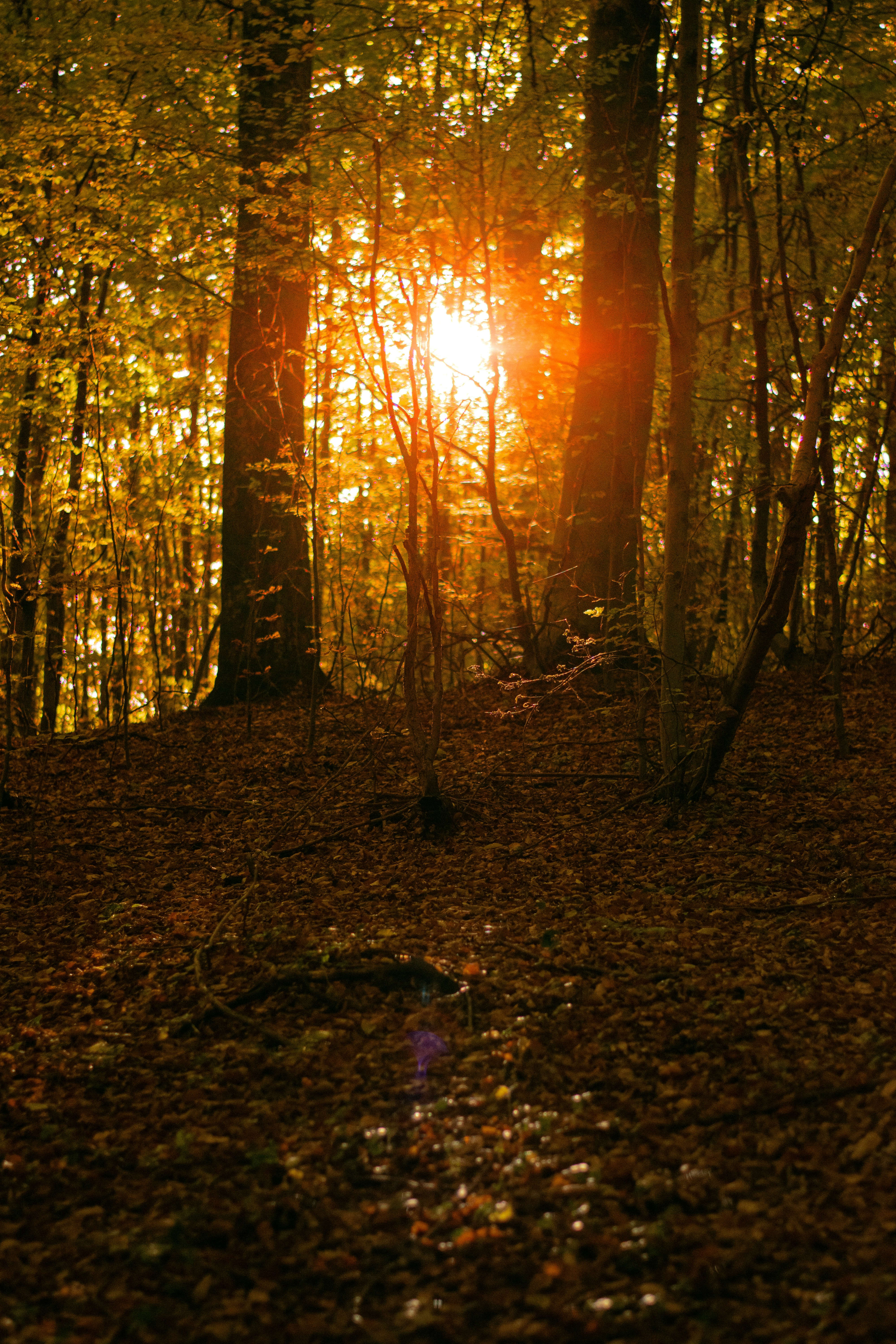 Photo by karynaviktori