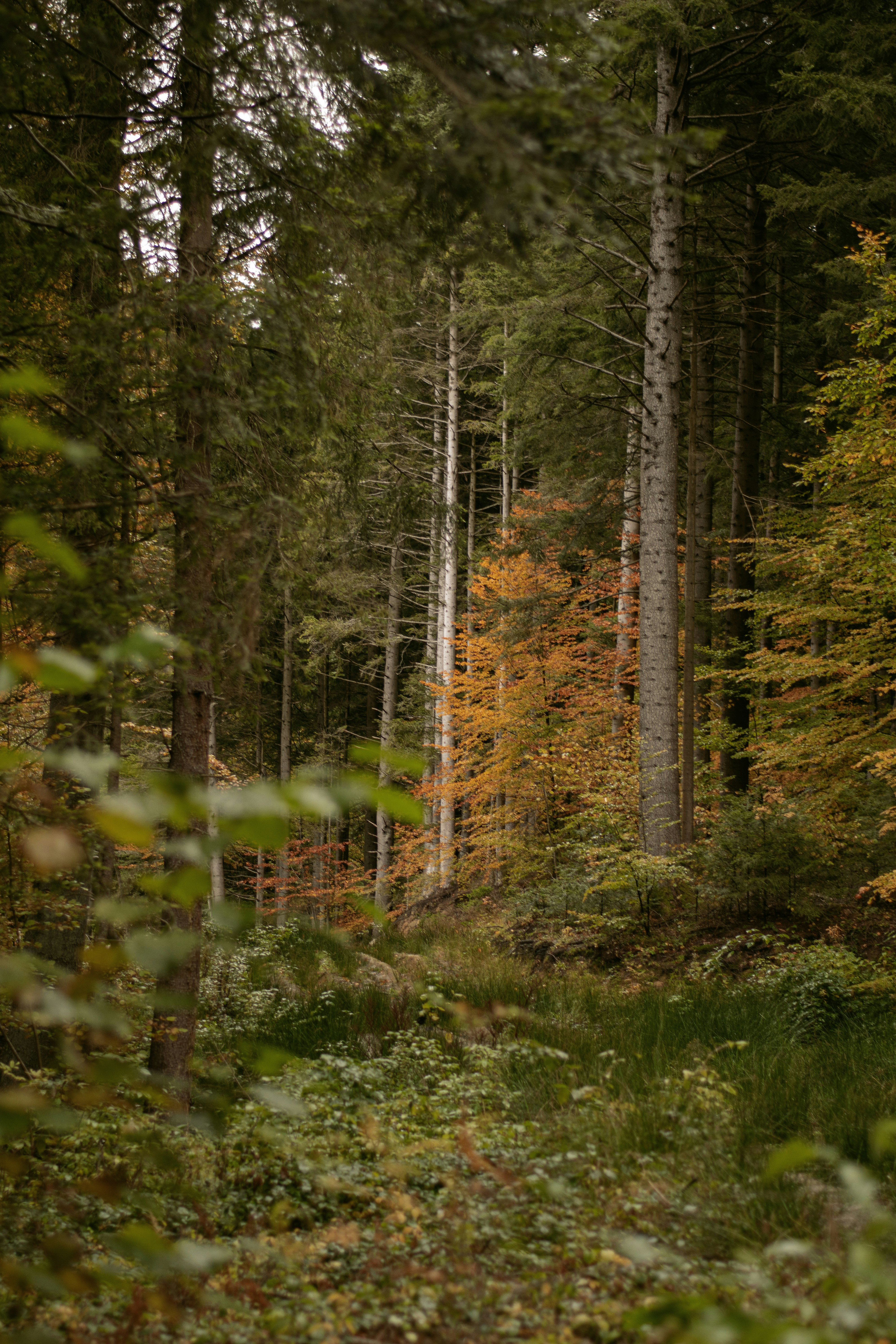 Photo by karynaviktori