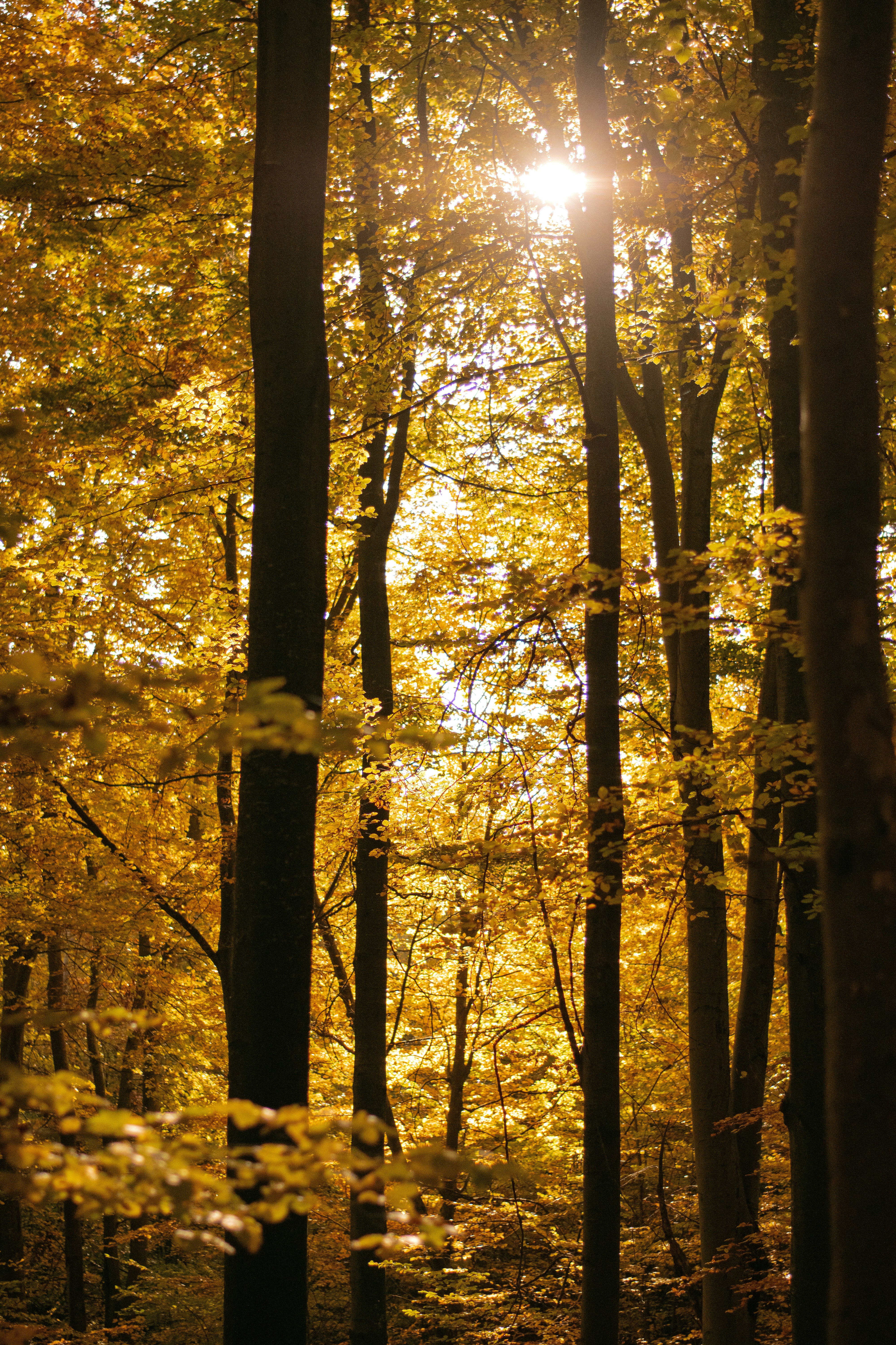 Photo by karynaviktori