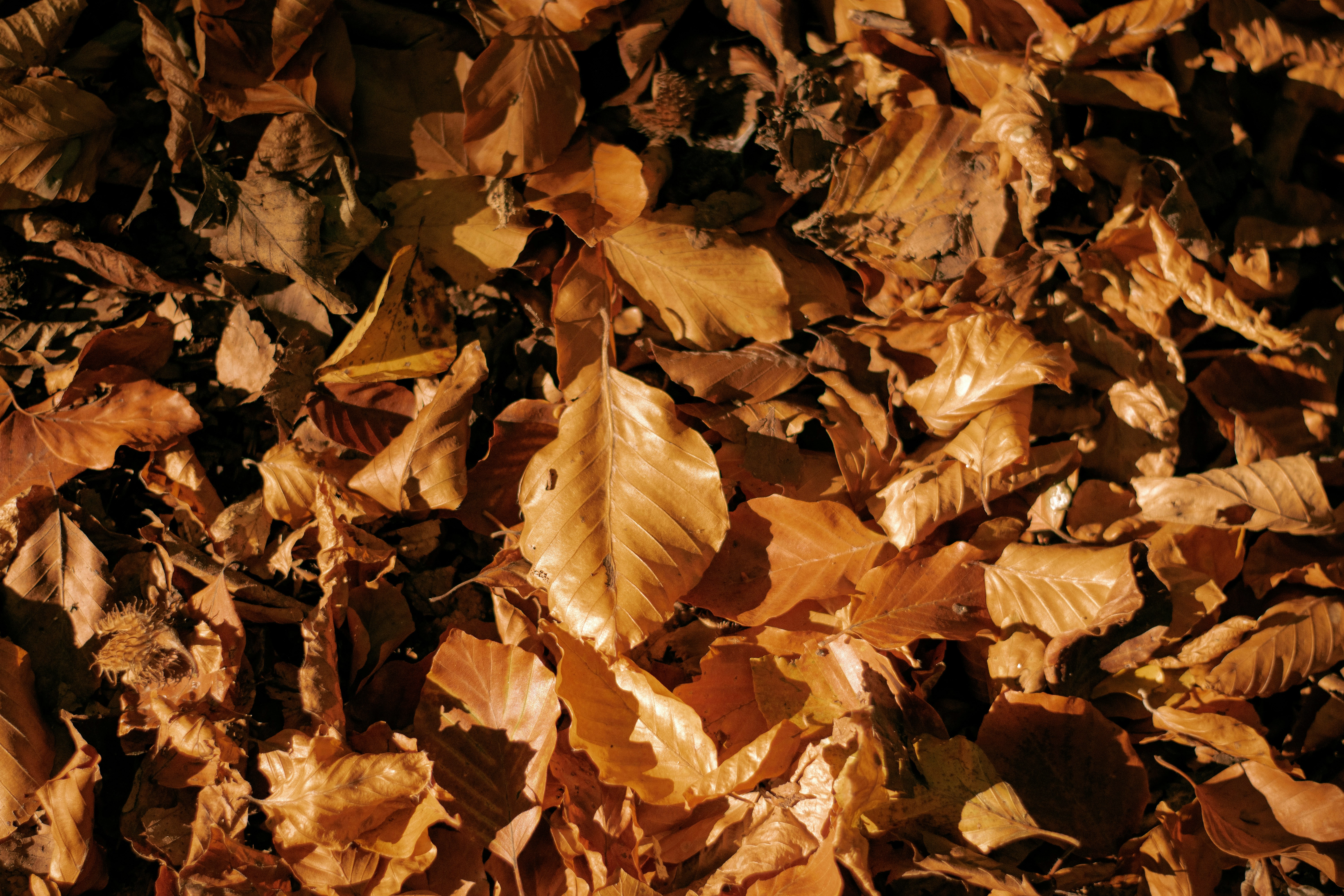 Photo by karynaviktori