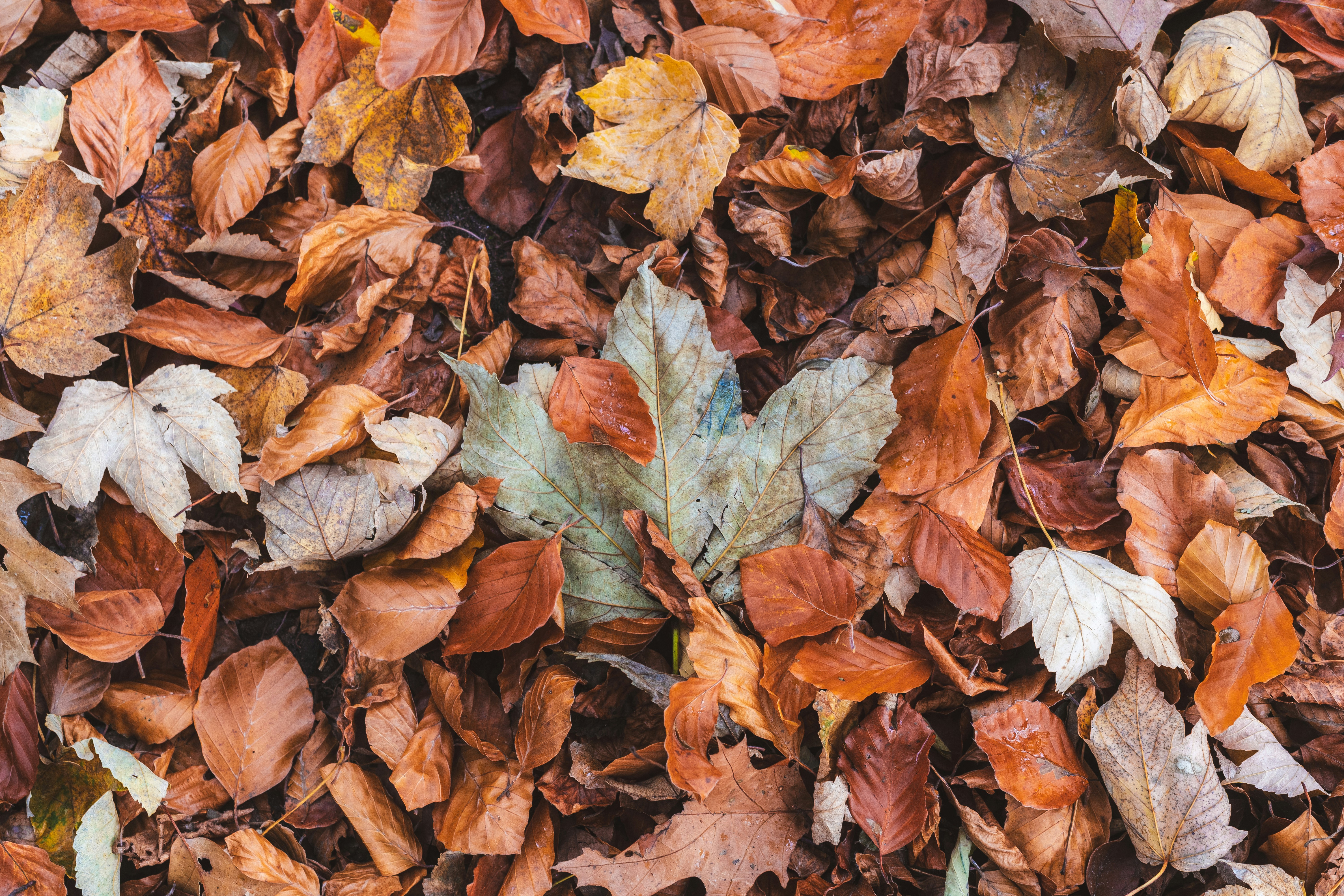 Photo by visualsbying