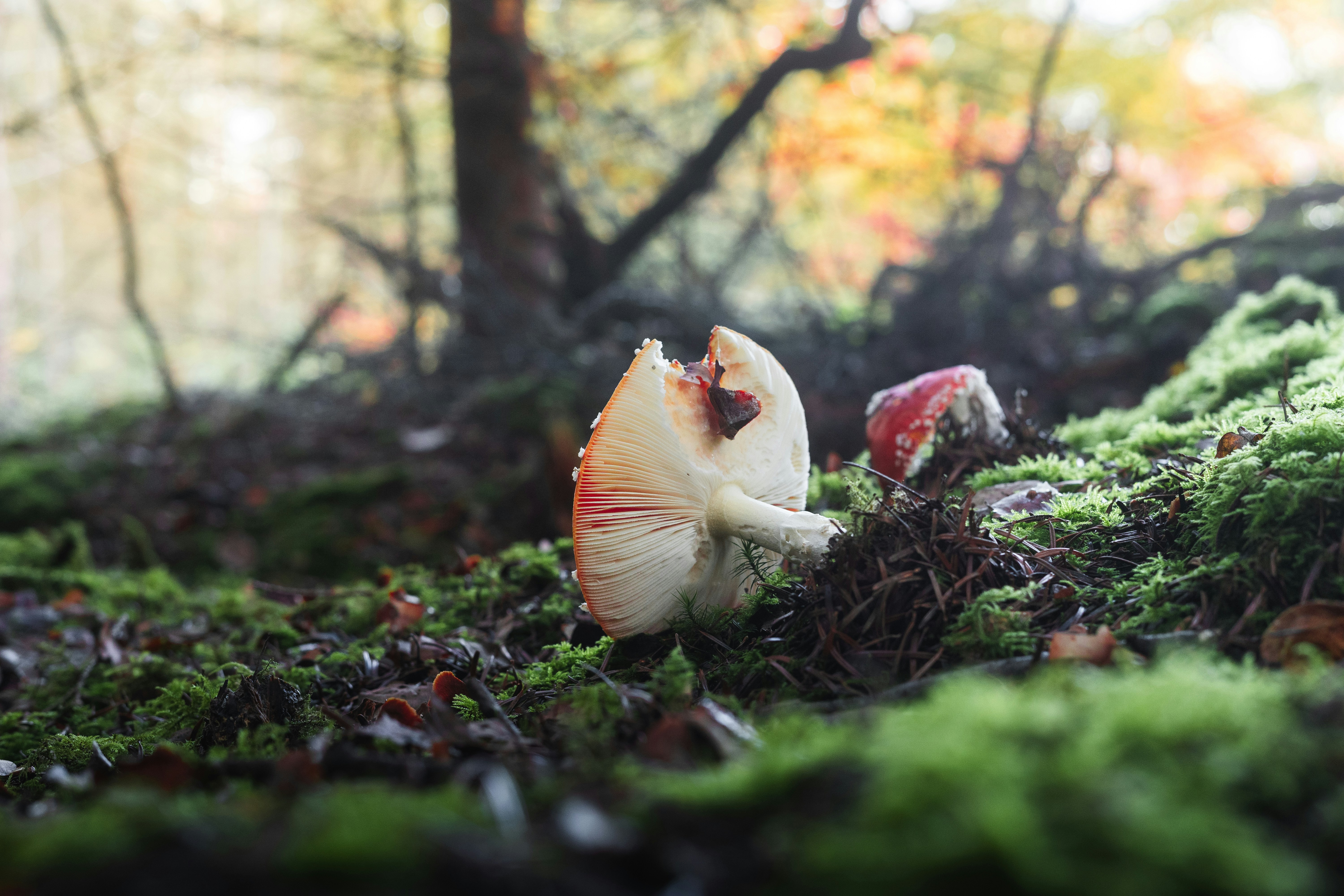 Photo by visualsbying