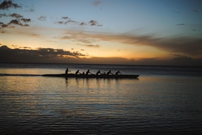 Rowing team on the water at sunset
