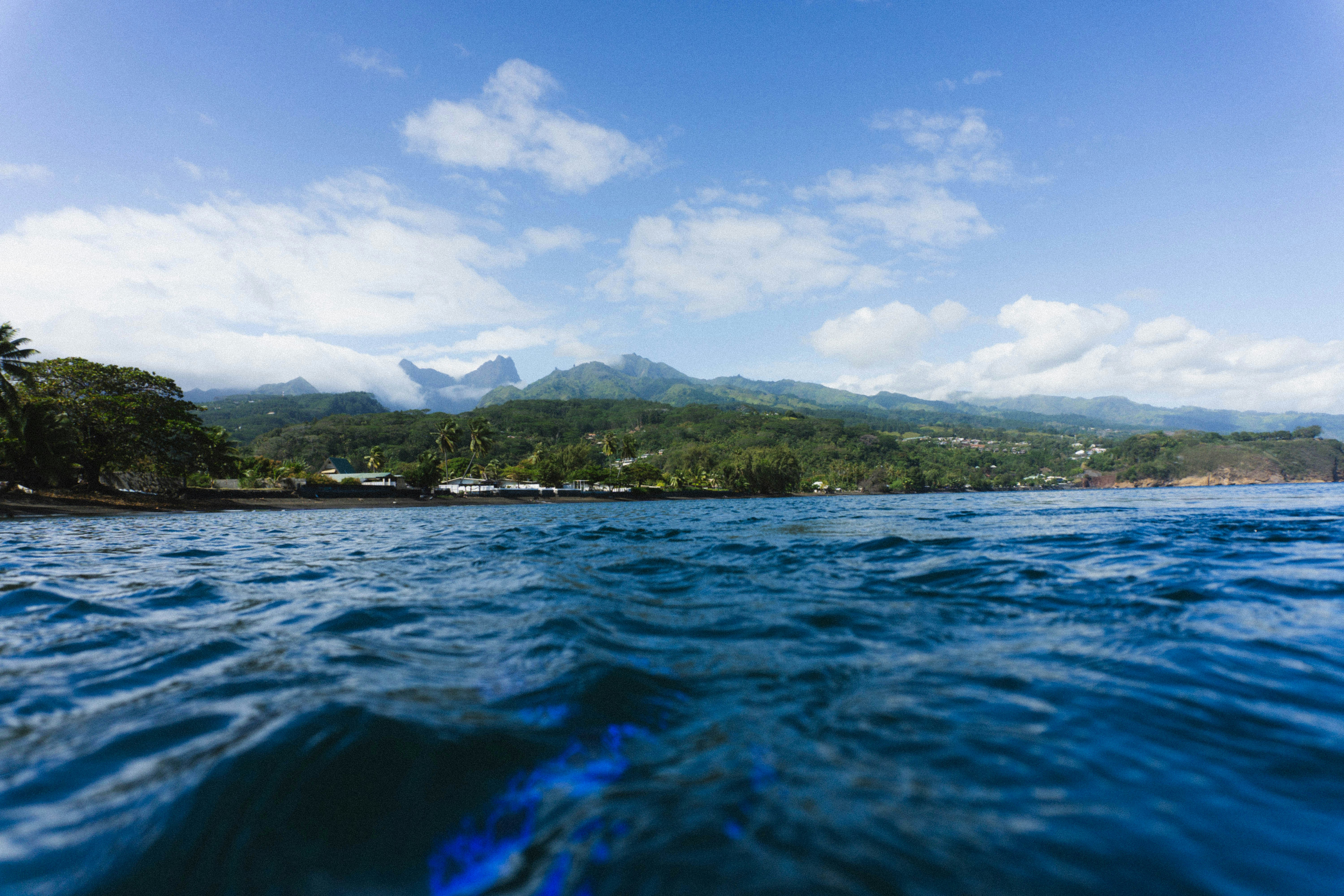 Coral Sea