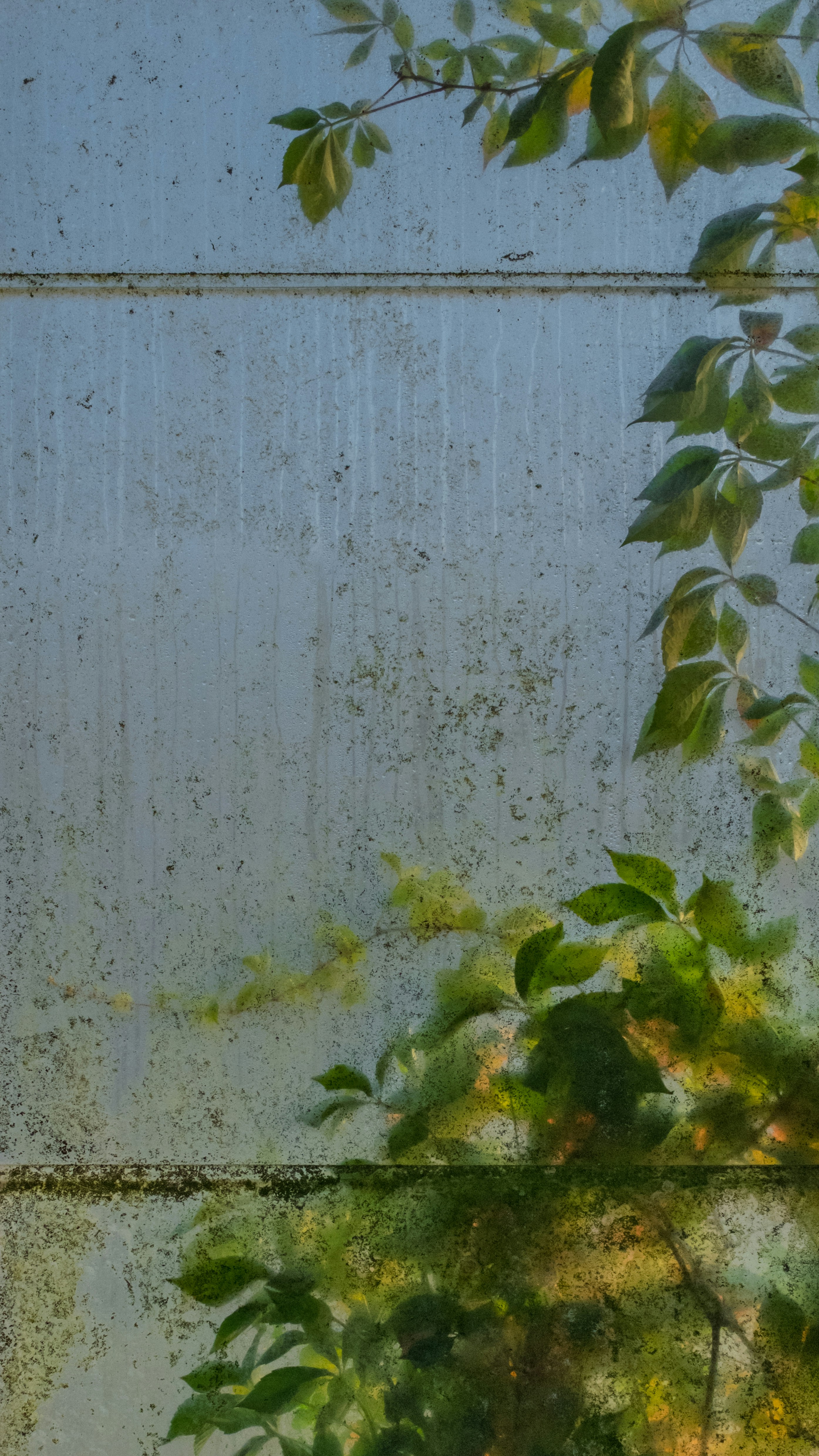 Photo by peterbbryan