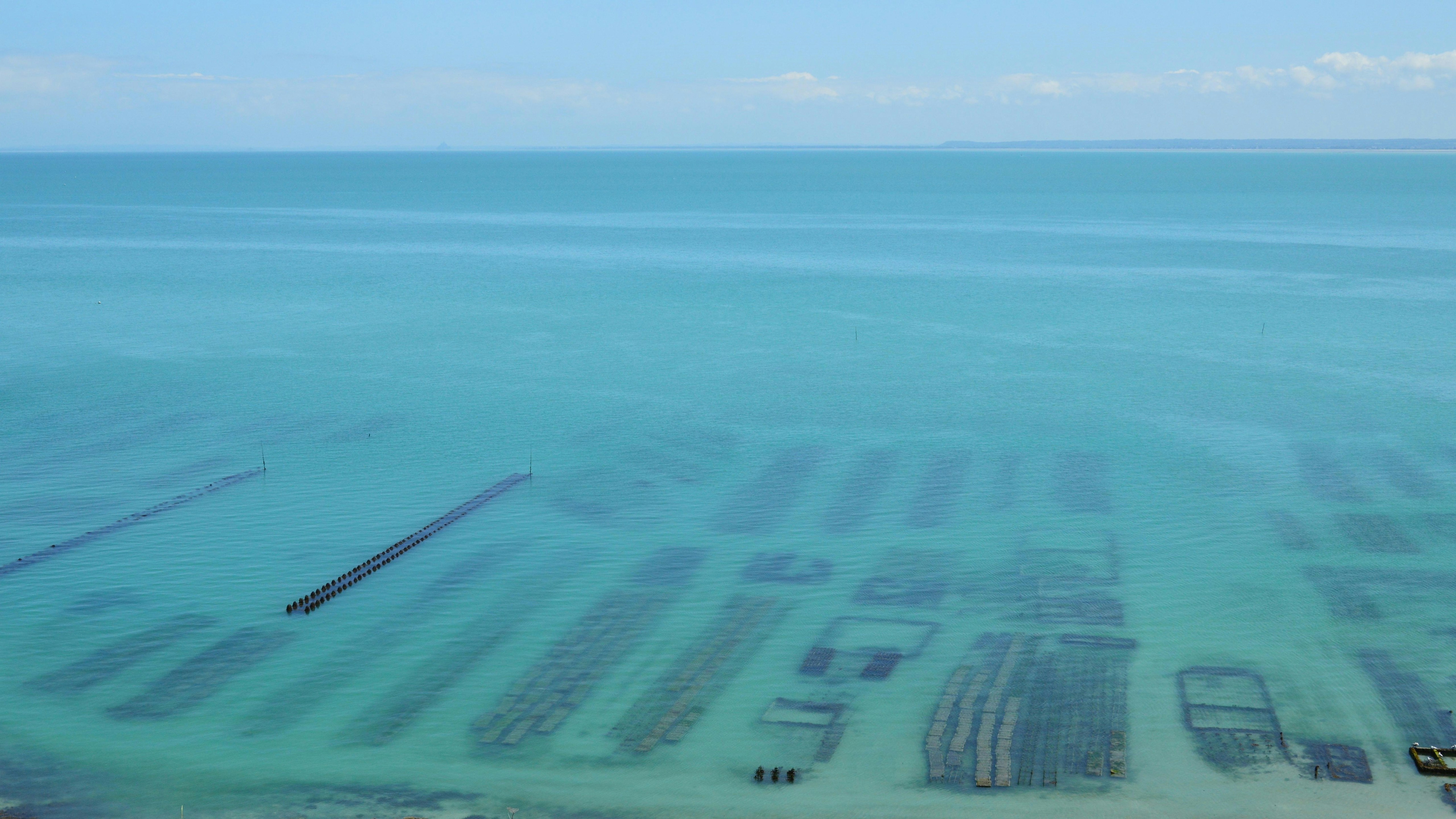 Oyster farm in clear shallow ocean water