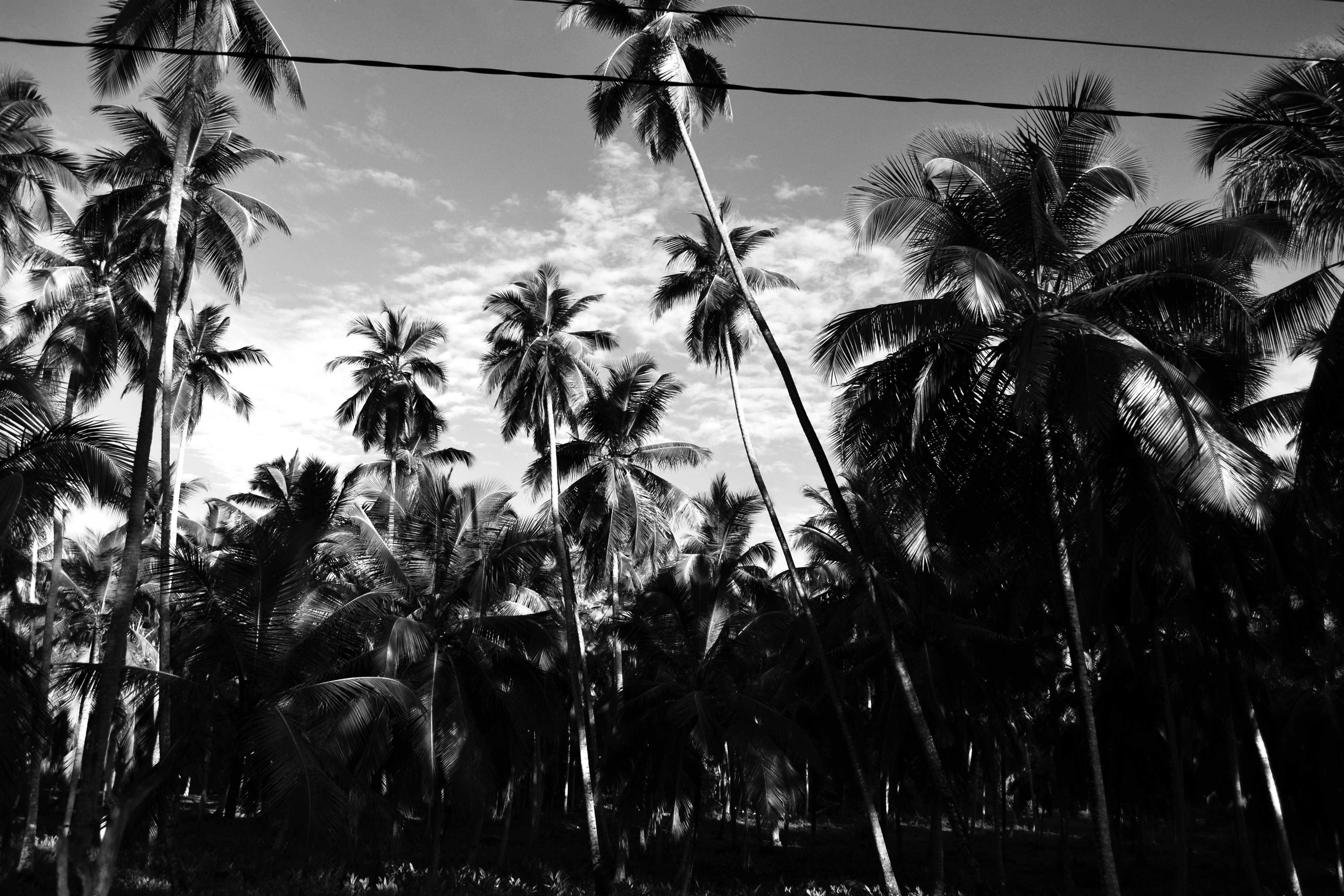 Photo by cherstve_pechivo