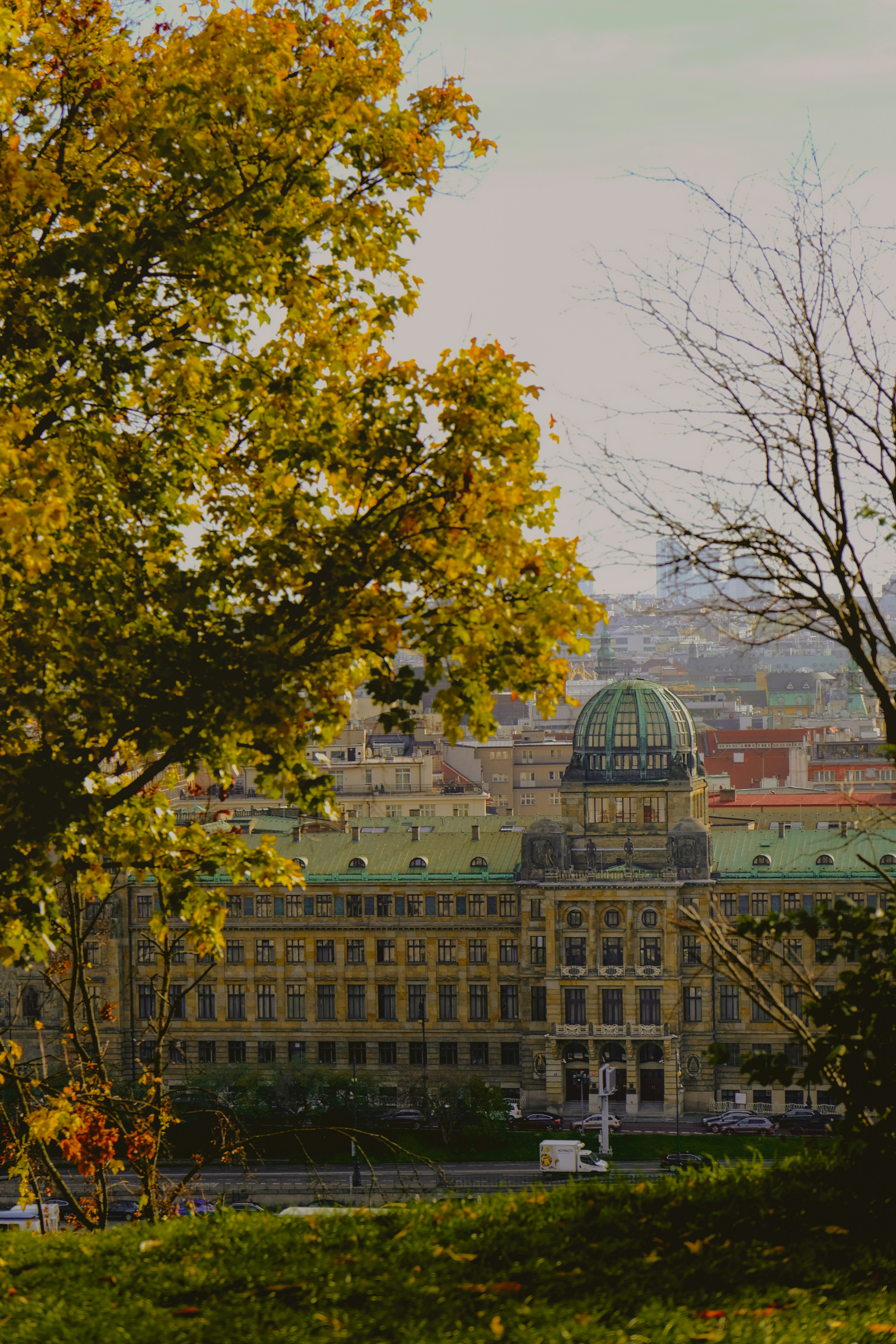 Photo by denisaficau