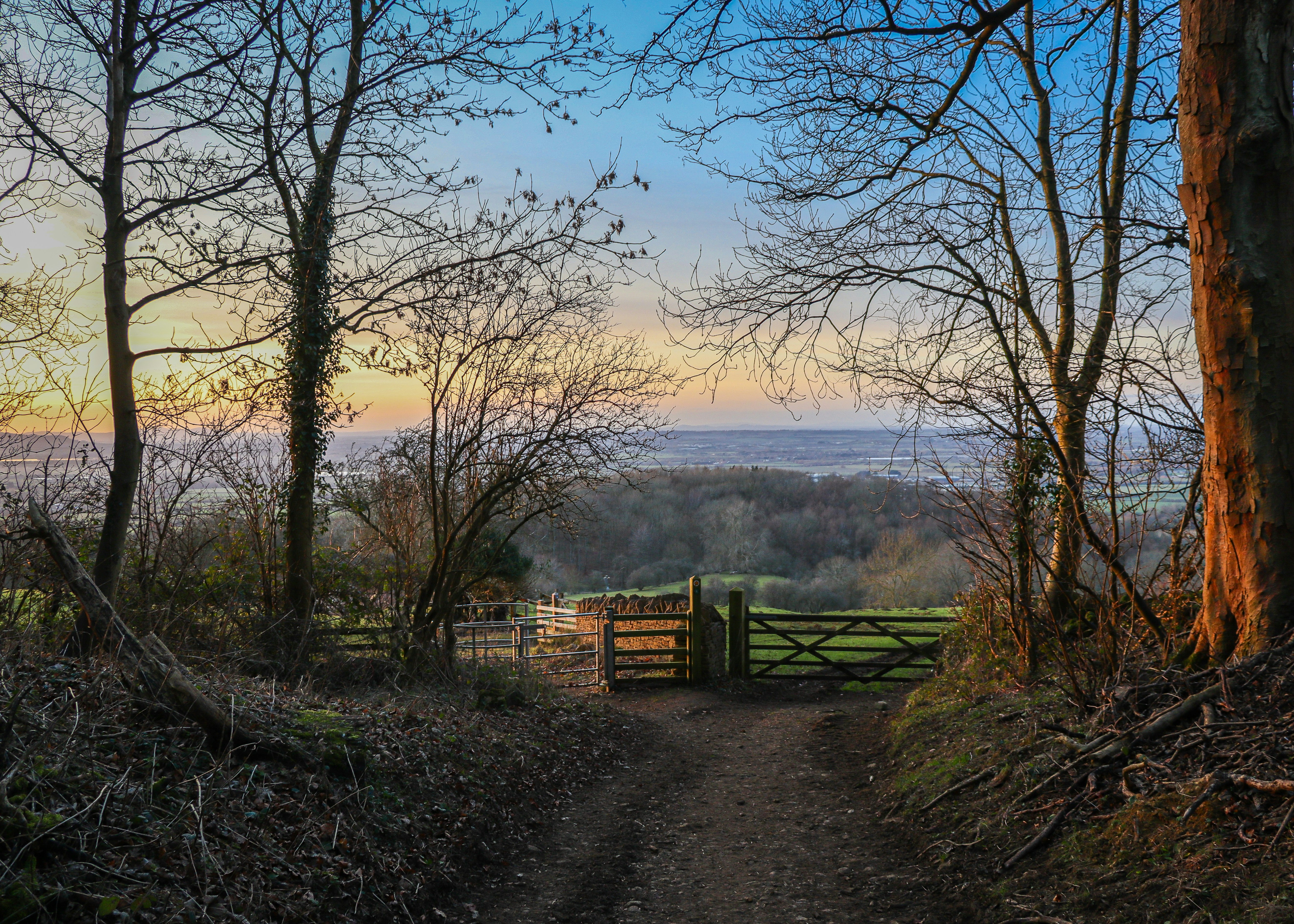 Photo by mhfphotographygb