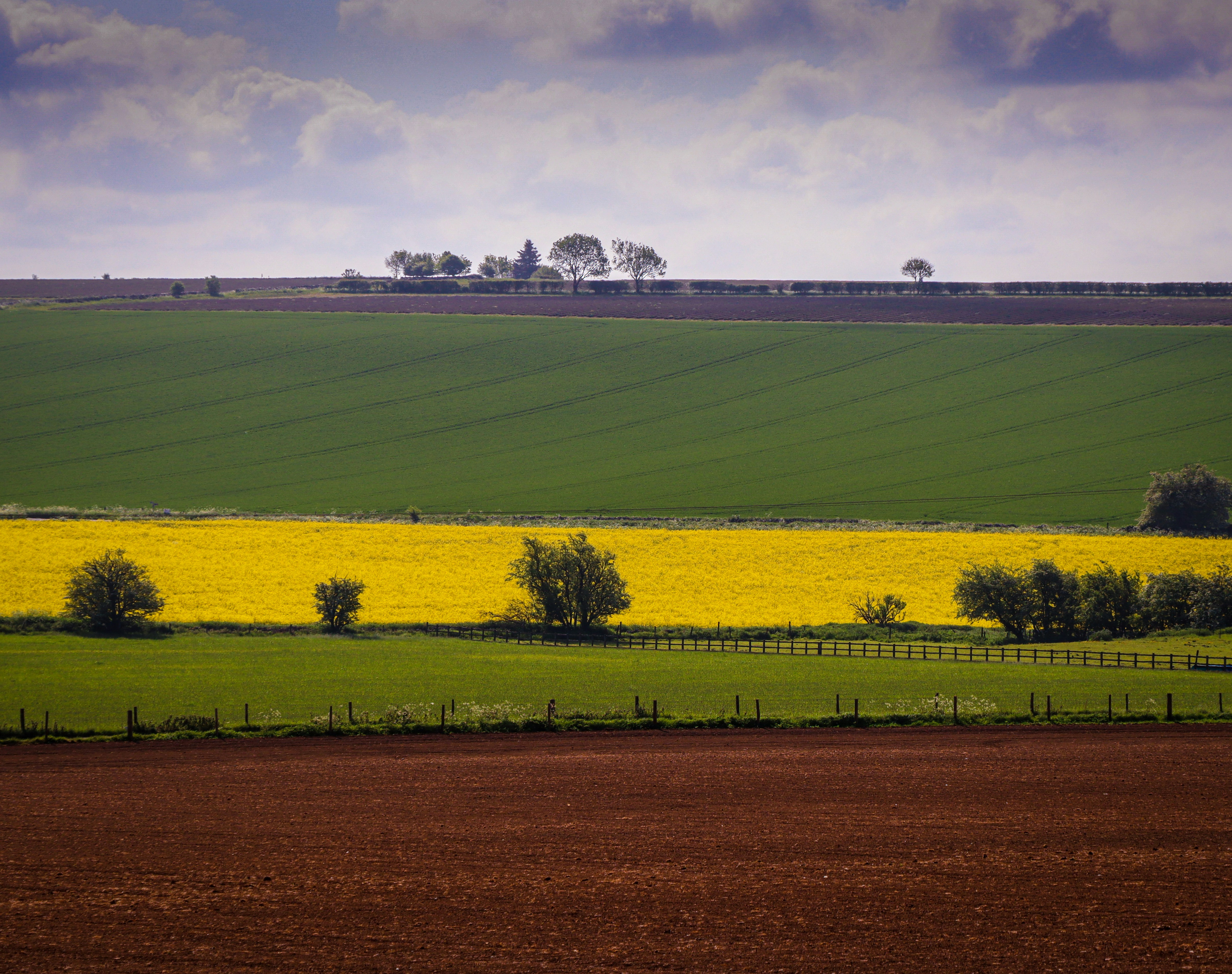 Photo by mhfphotographygb