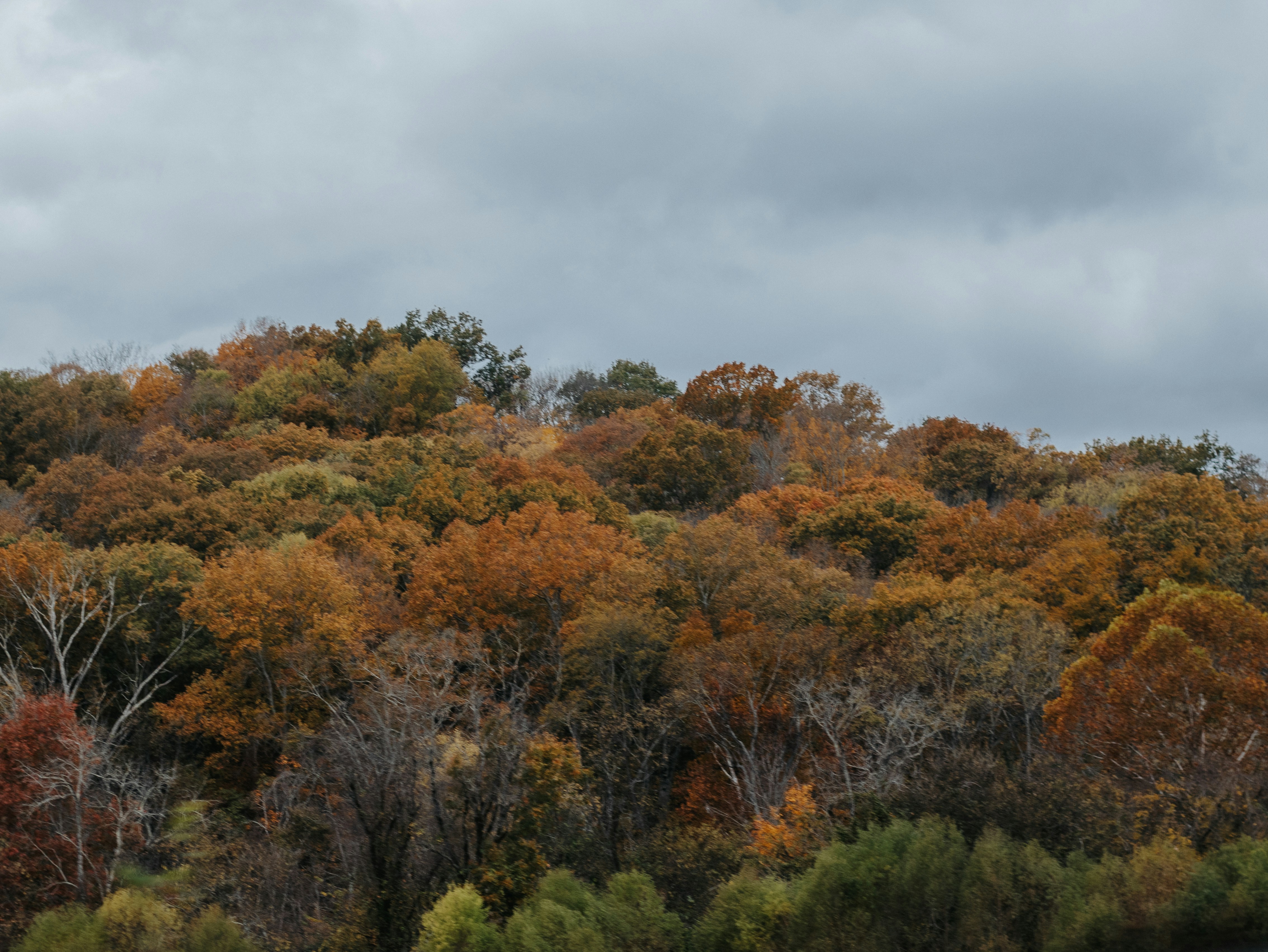 Photo by elijahbcrouch