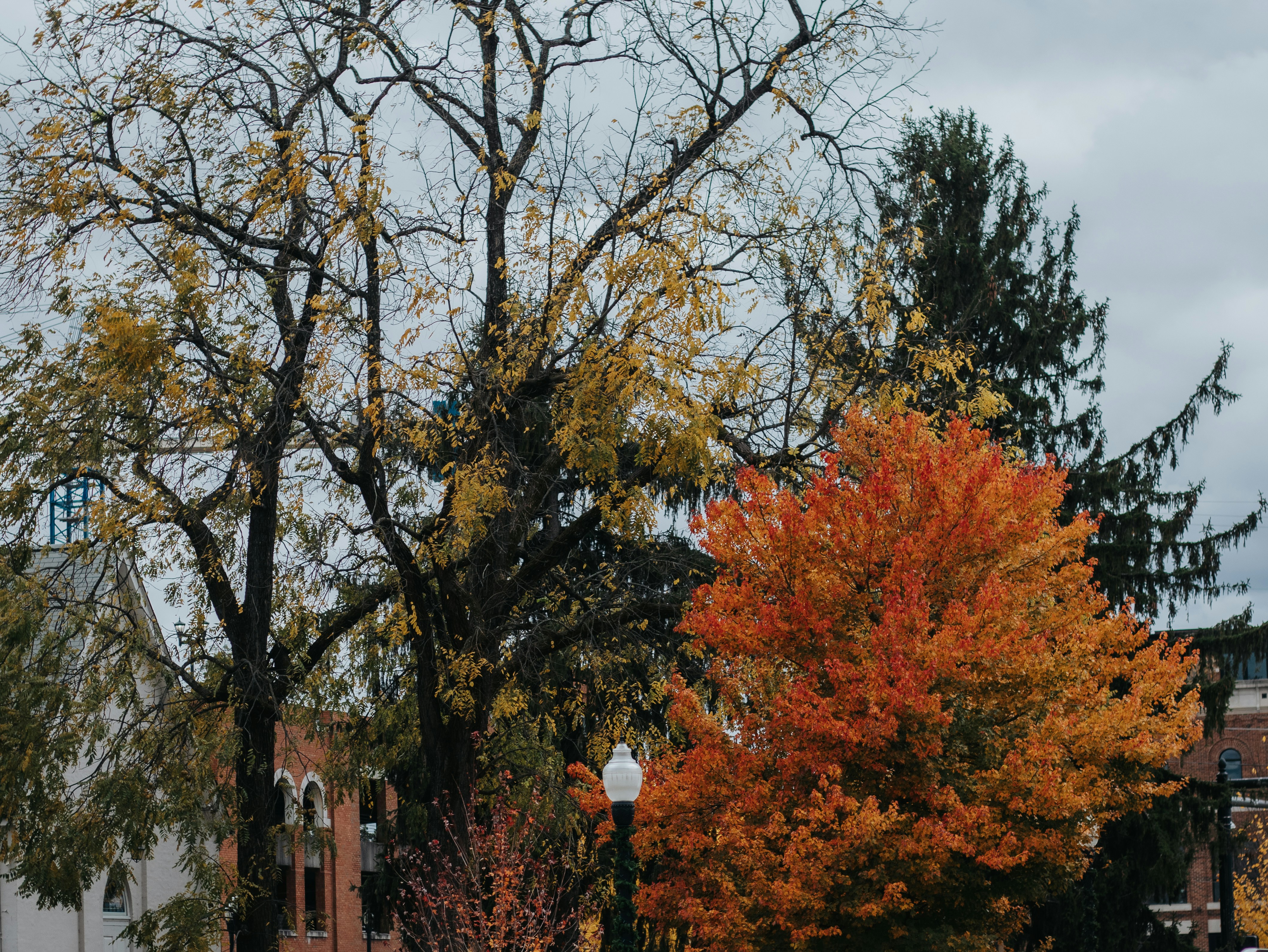 Photo by elijahbcrouch