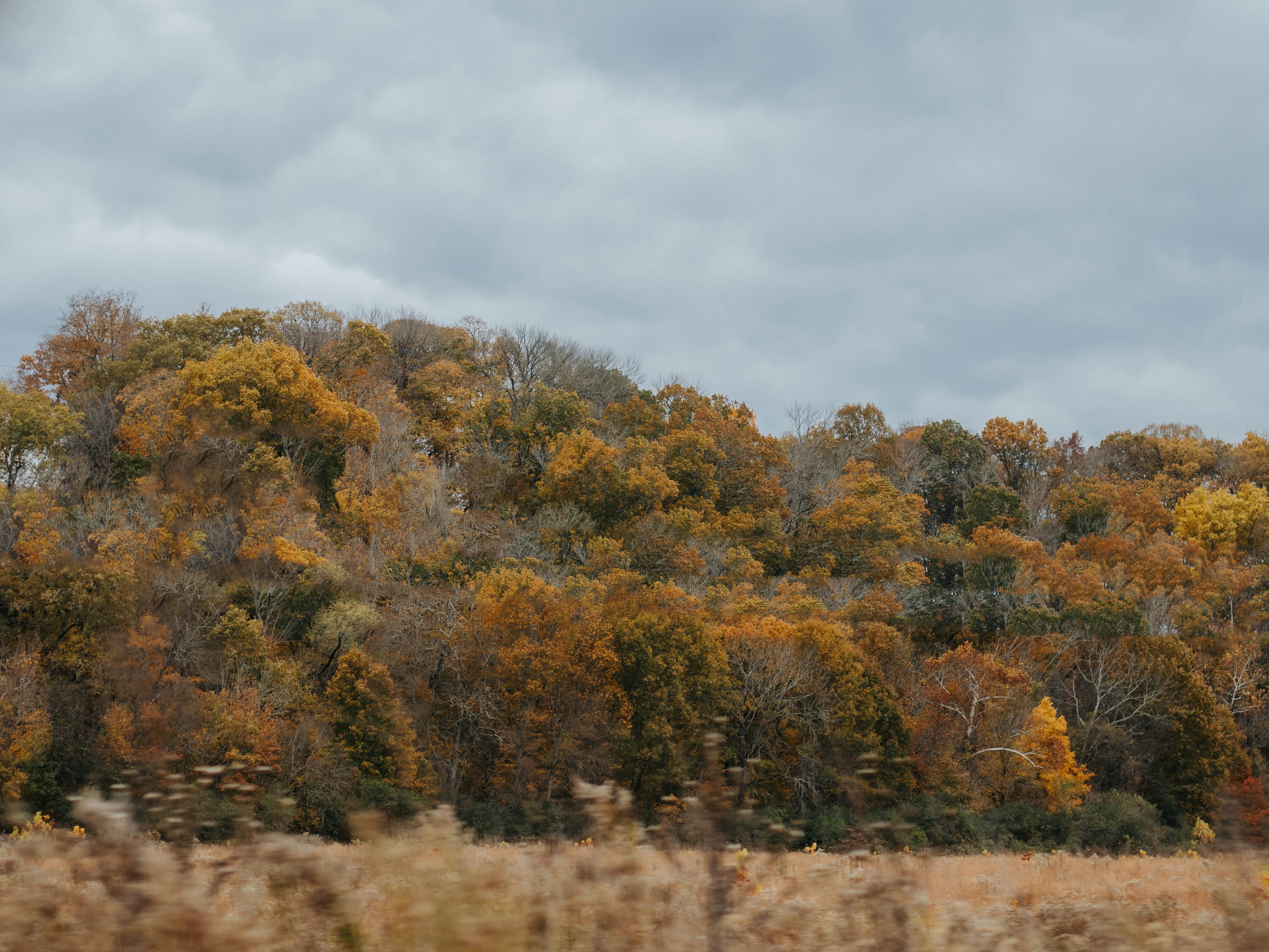 Photo by elijahbcrouch