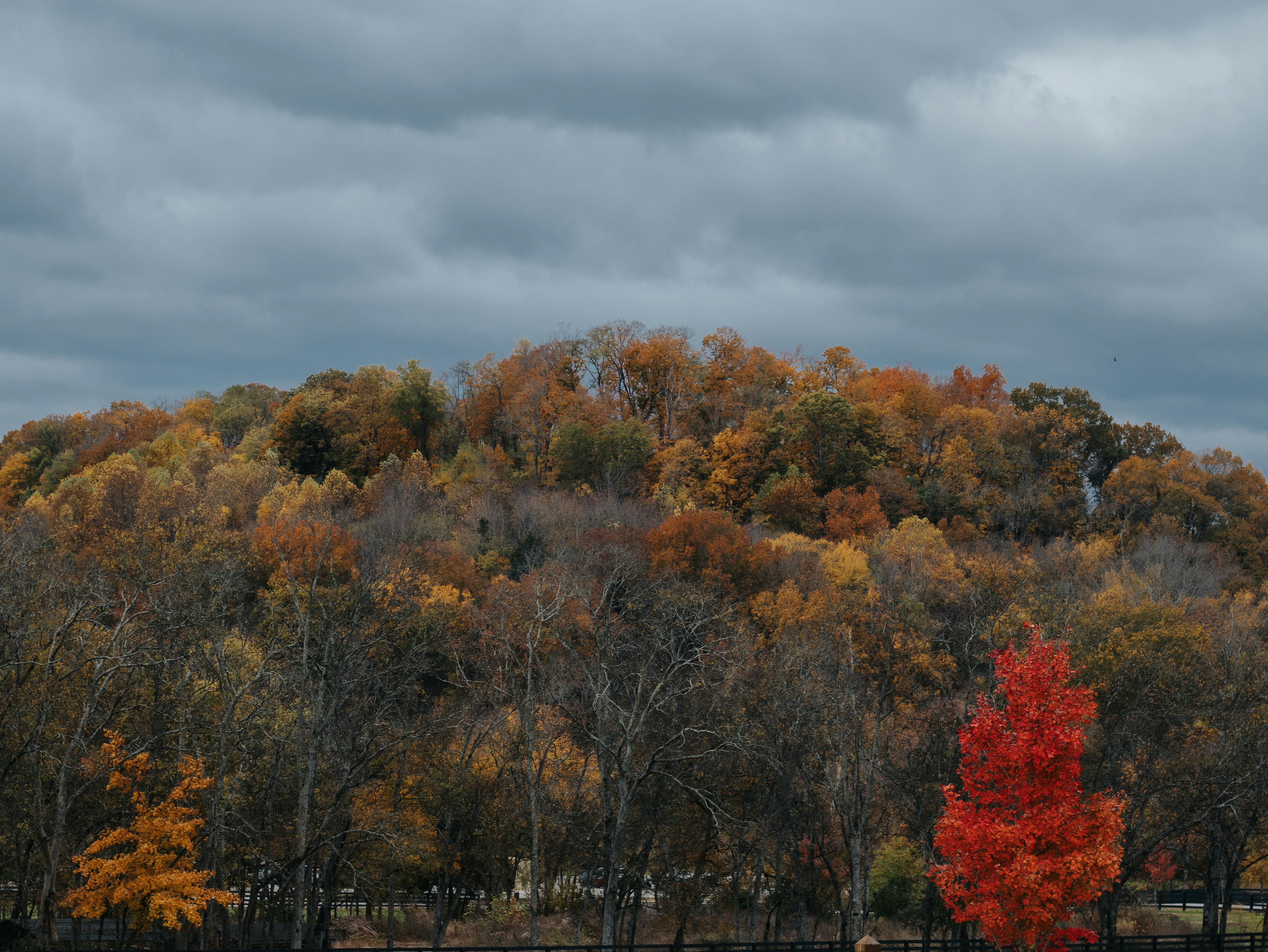 Photo by elijahbcrouch