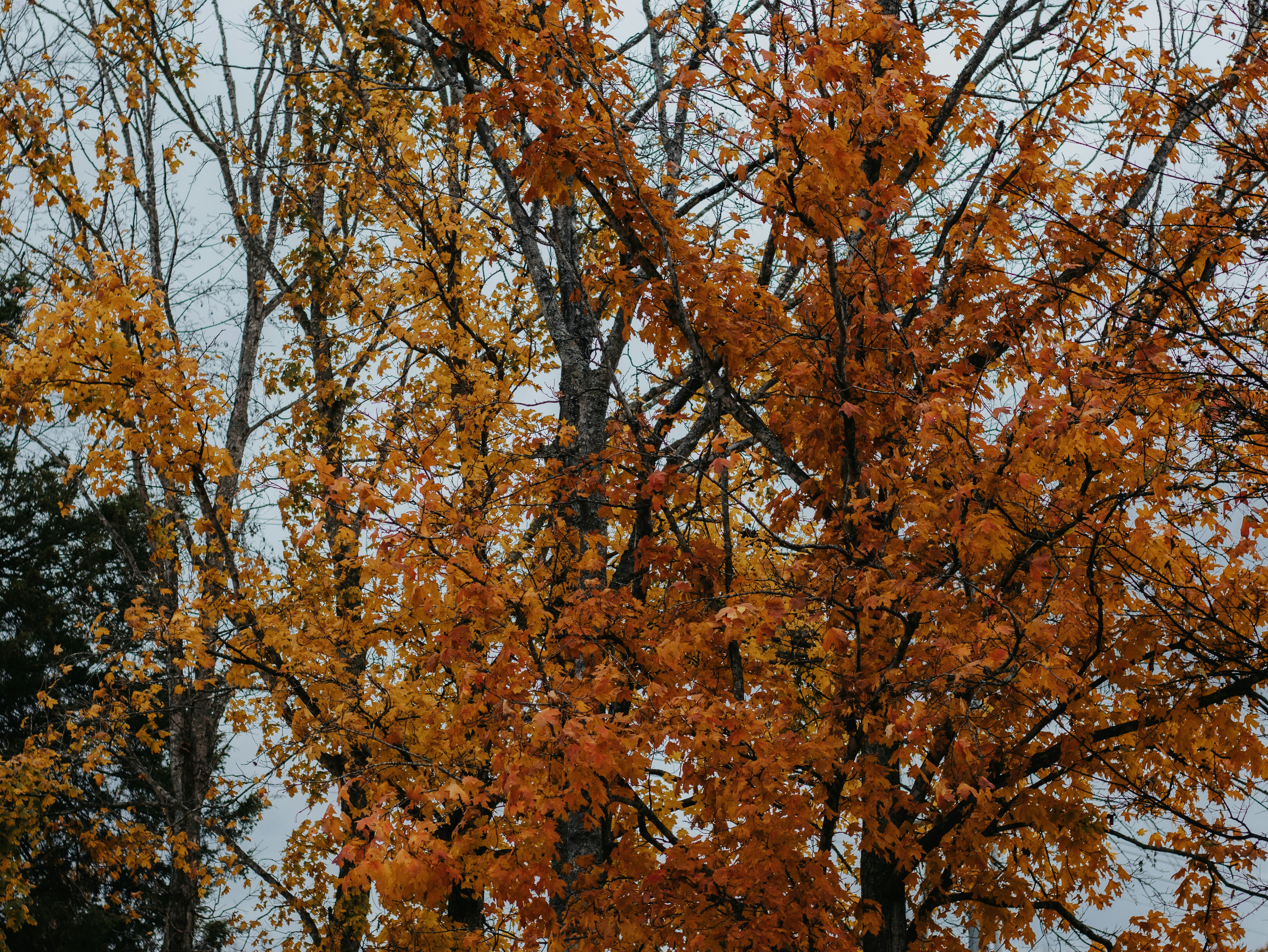 Photo by elijahbcrouch