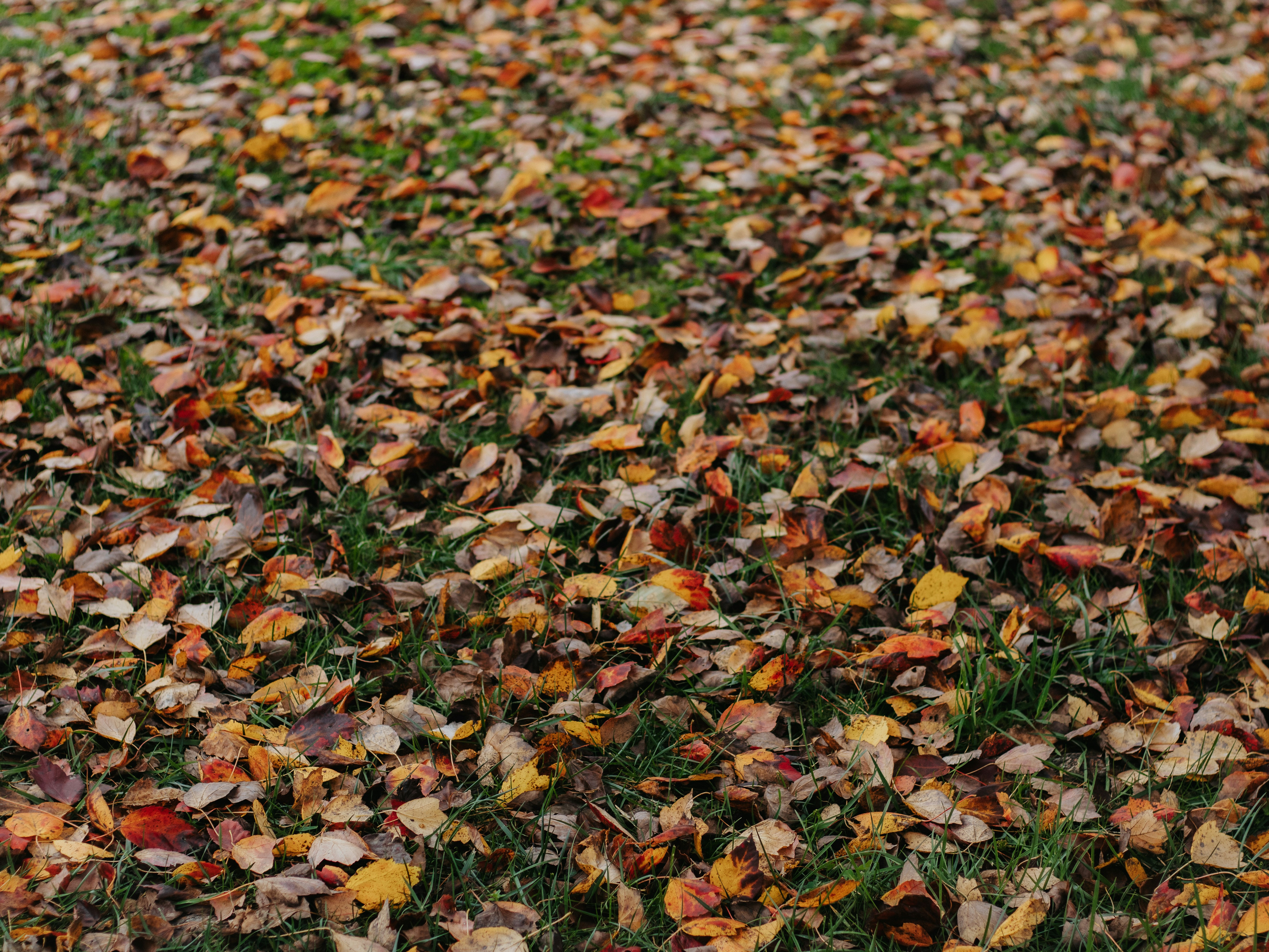 Photo by elijahbcrouch