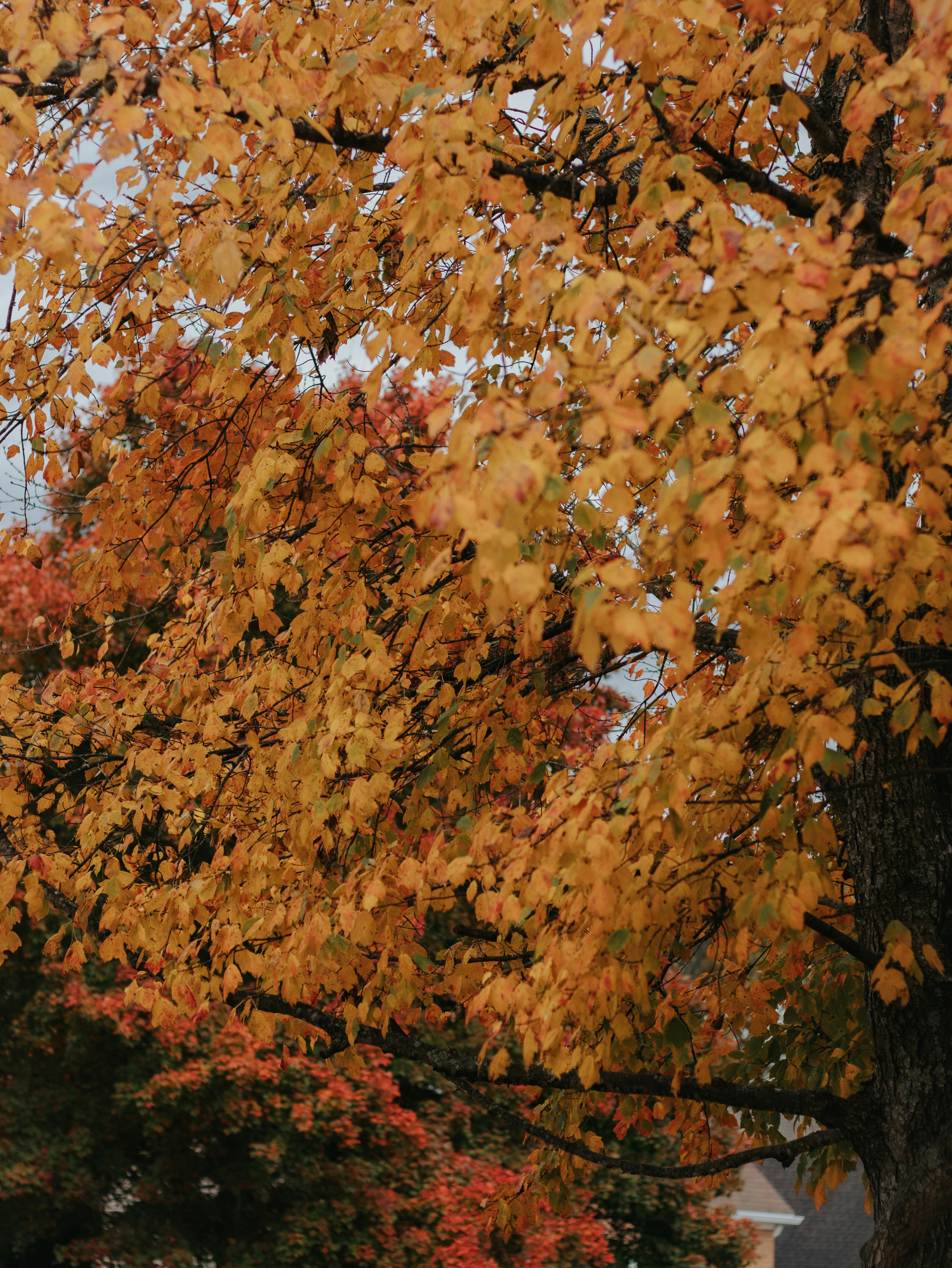 Photo by elijahbcrouch