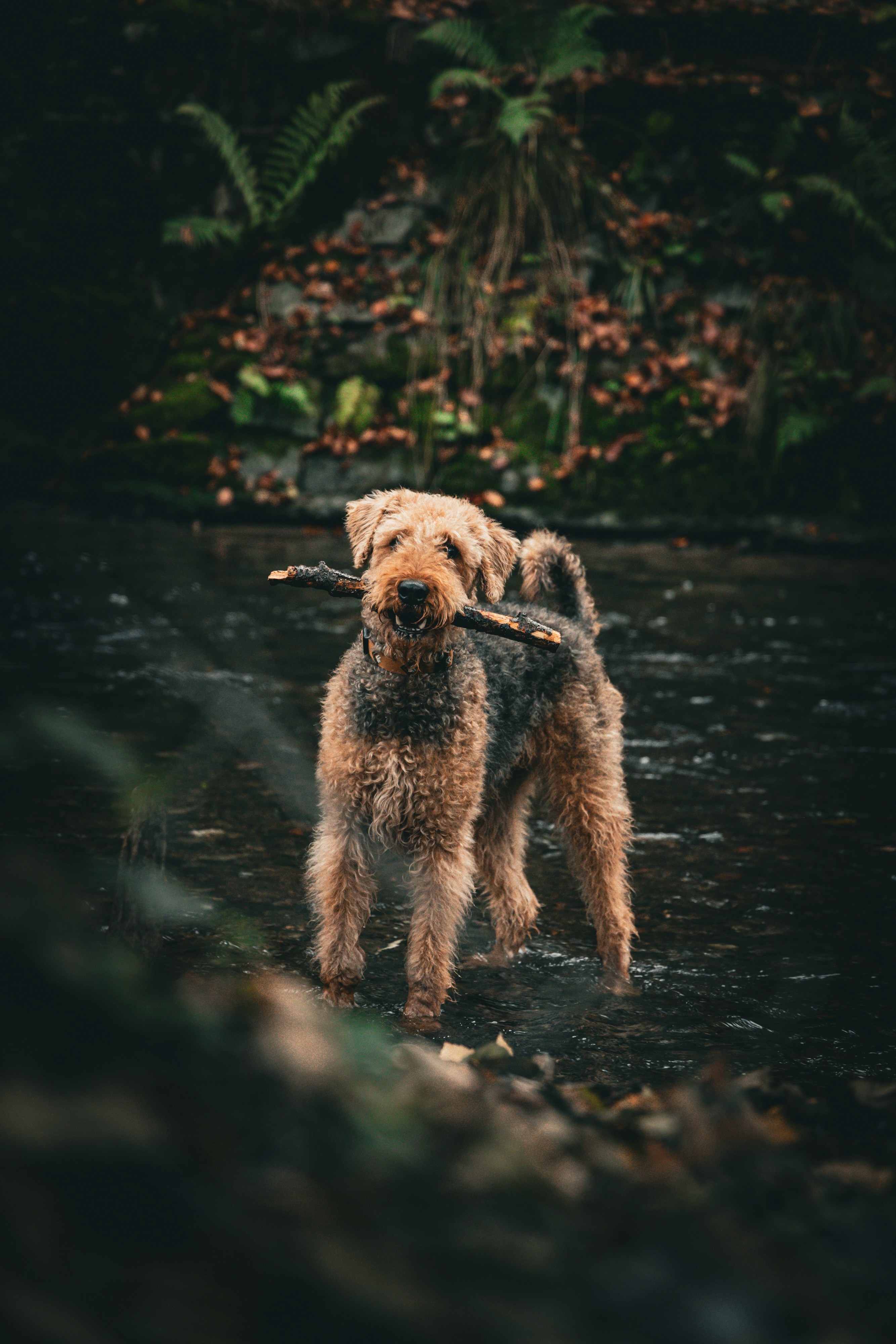 Photo by gnomezgrave