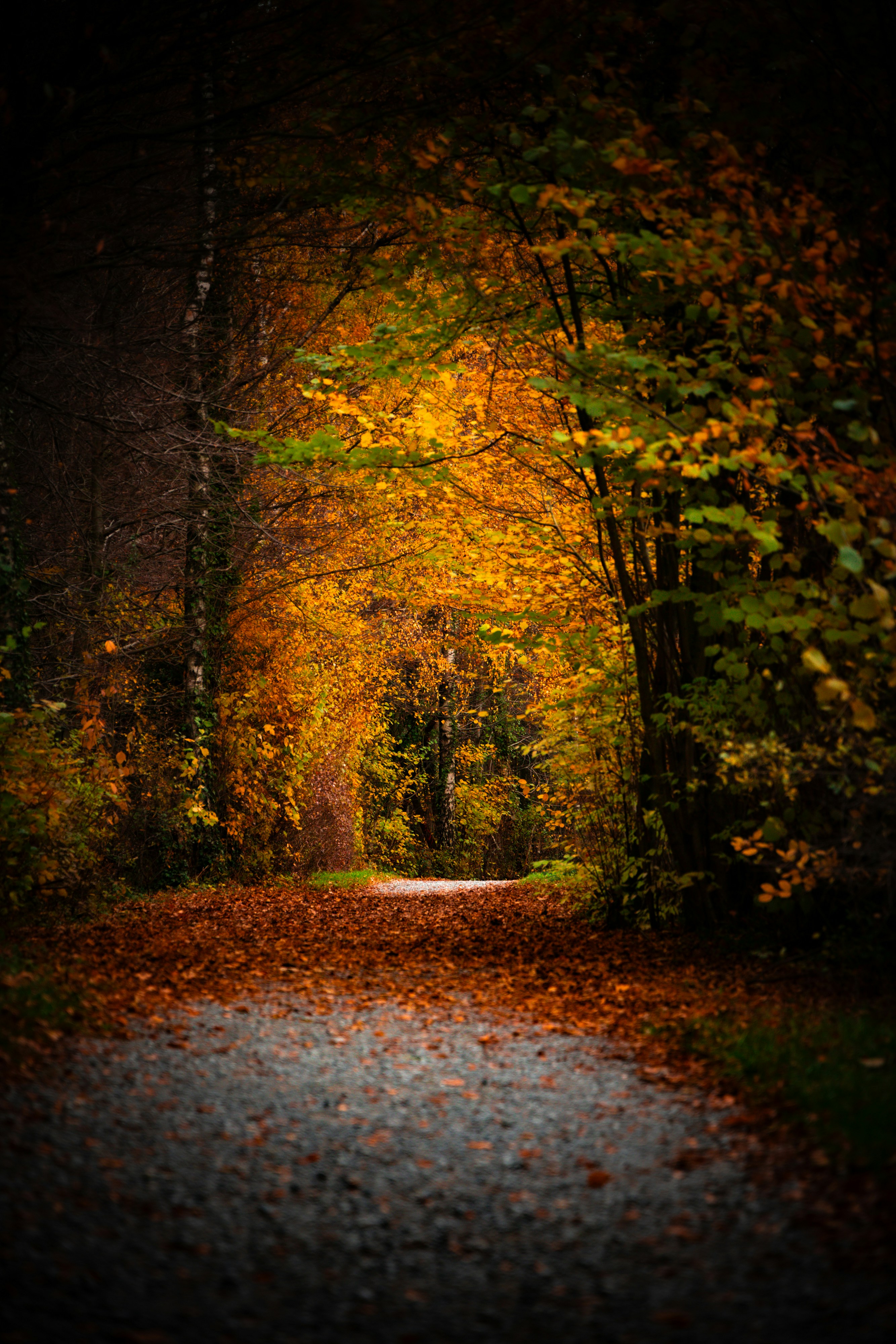 Photo by gnomezgrave