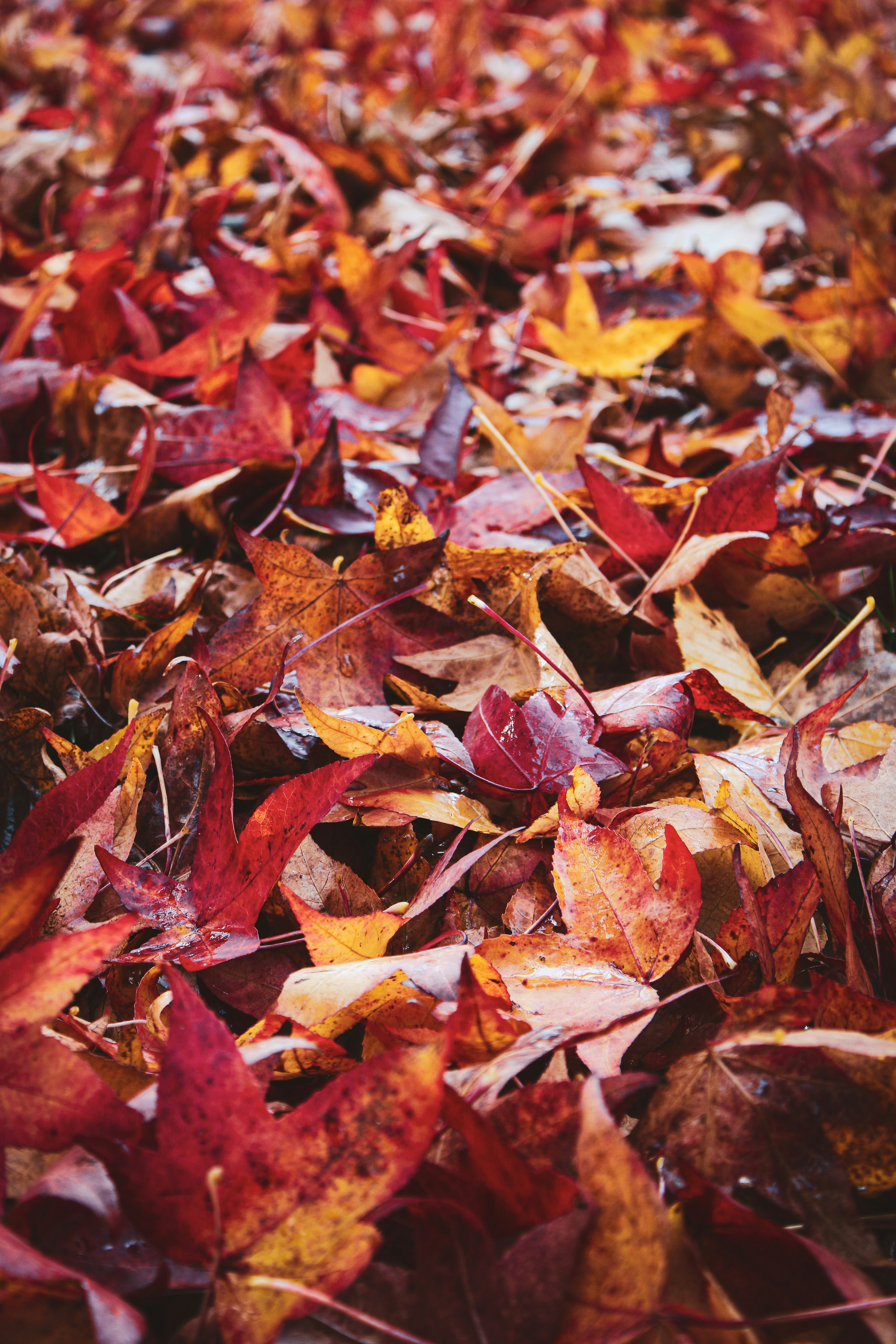 Photo by willcorrigan06