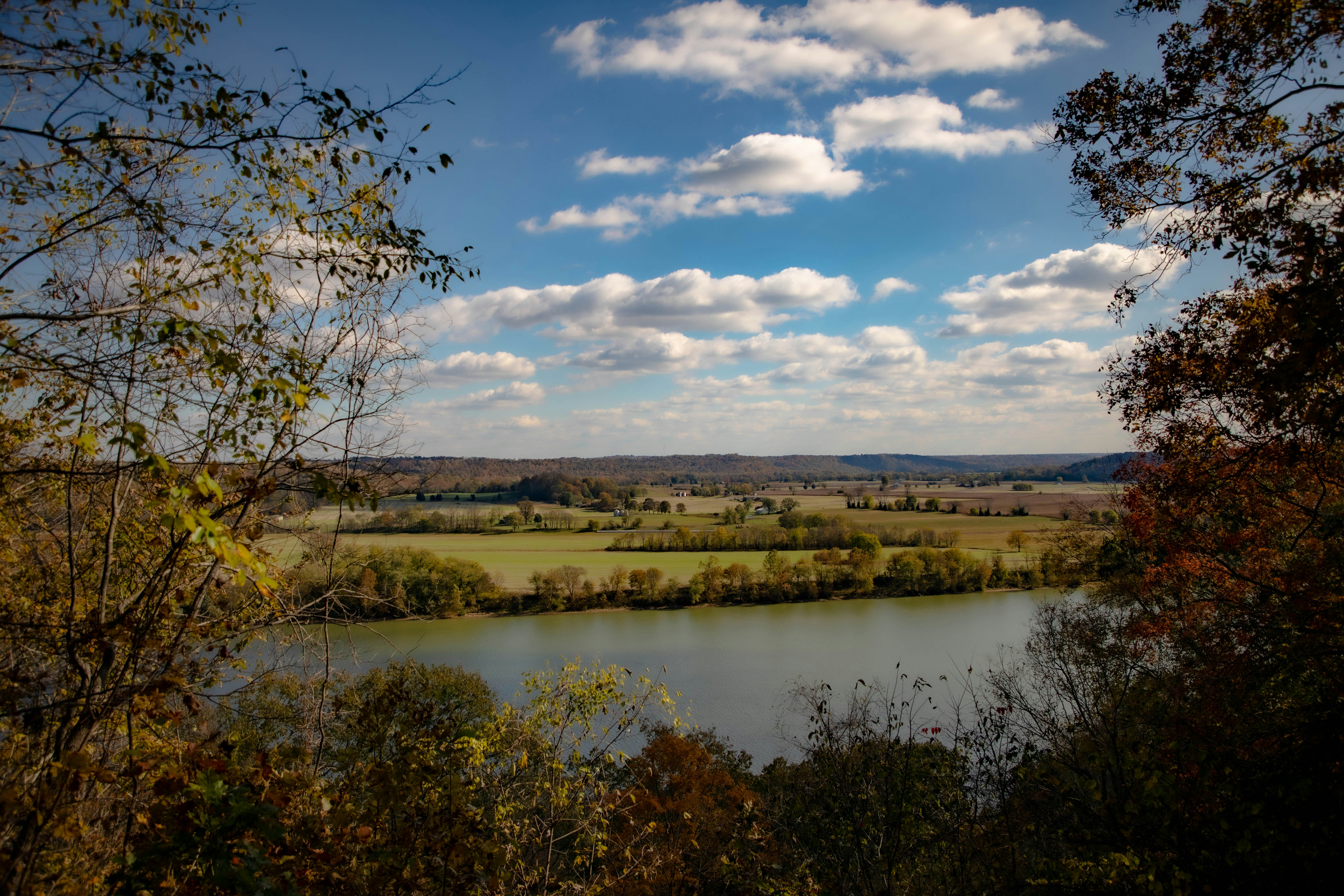 Photo by mitchbagnet