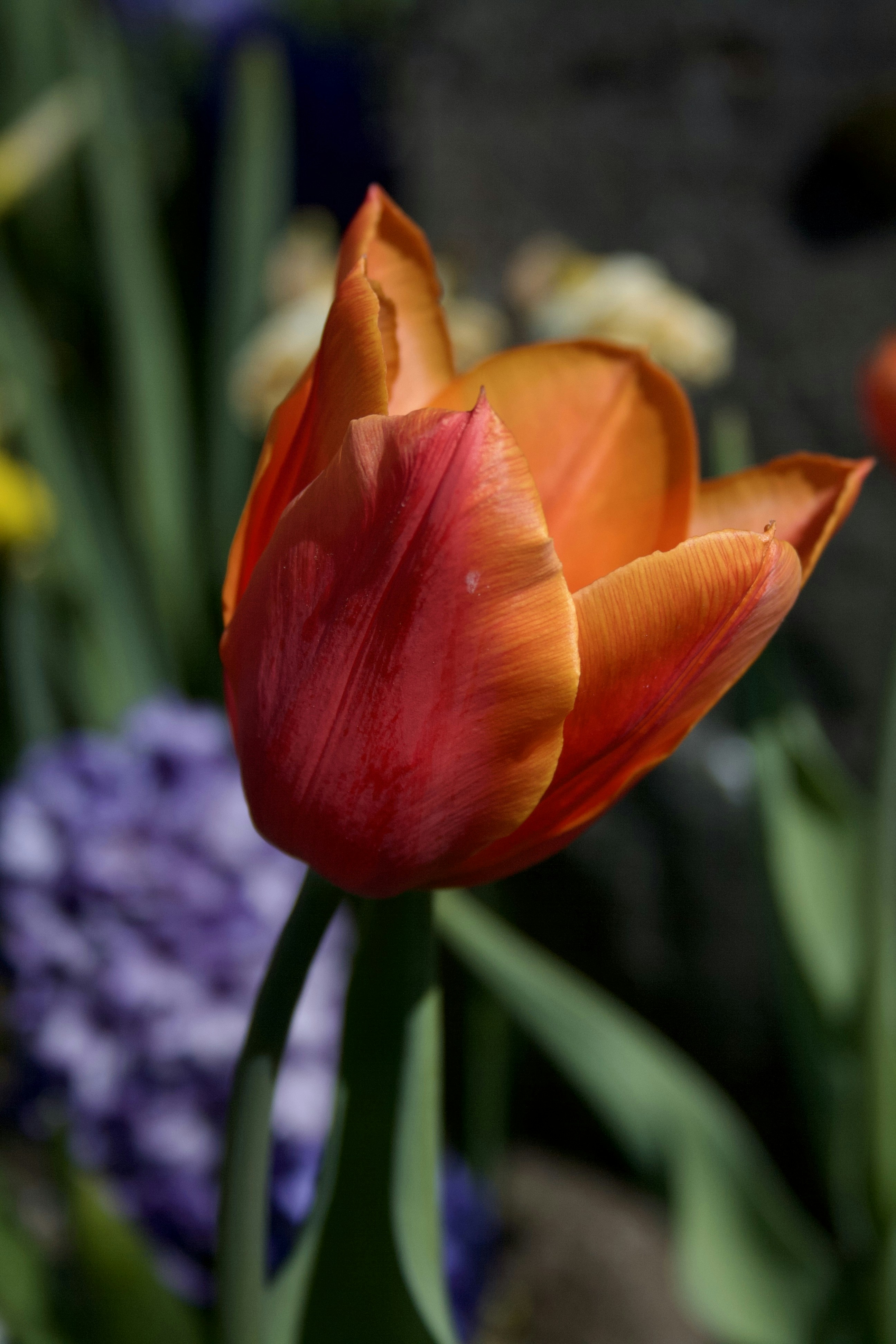 Photo by officiallyamandaaaa