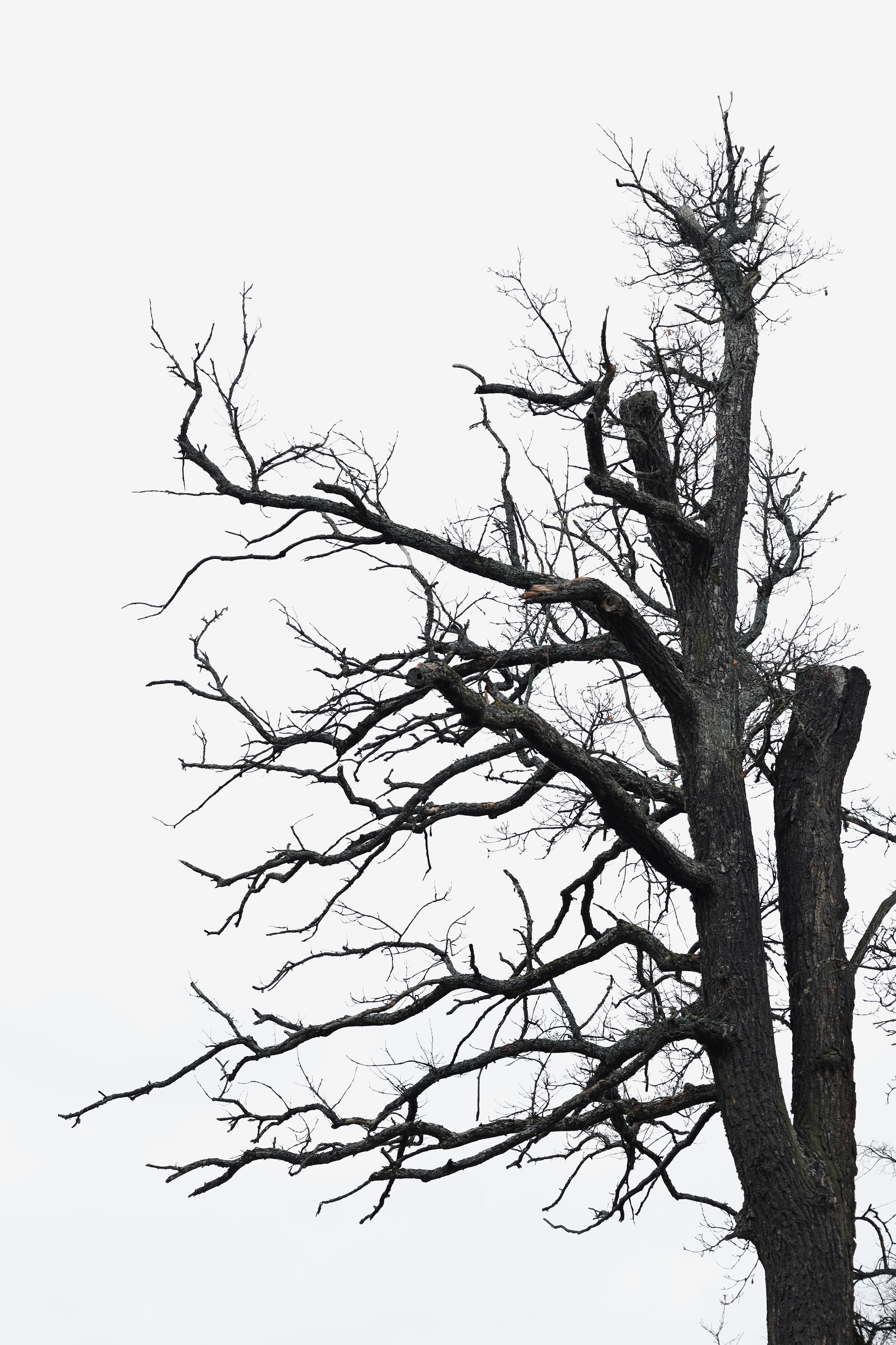 Photo by took_a_snap