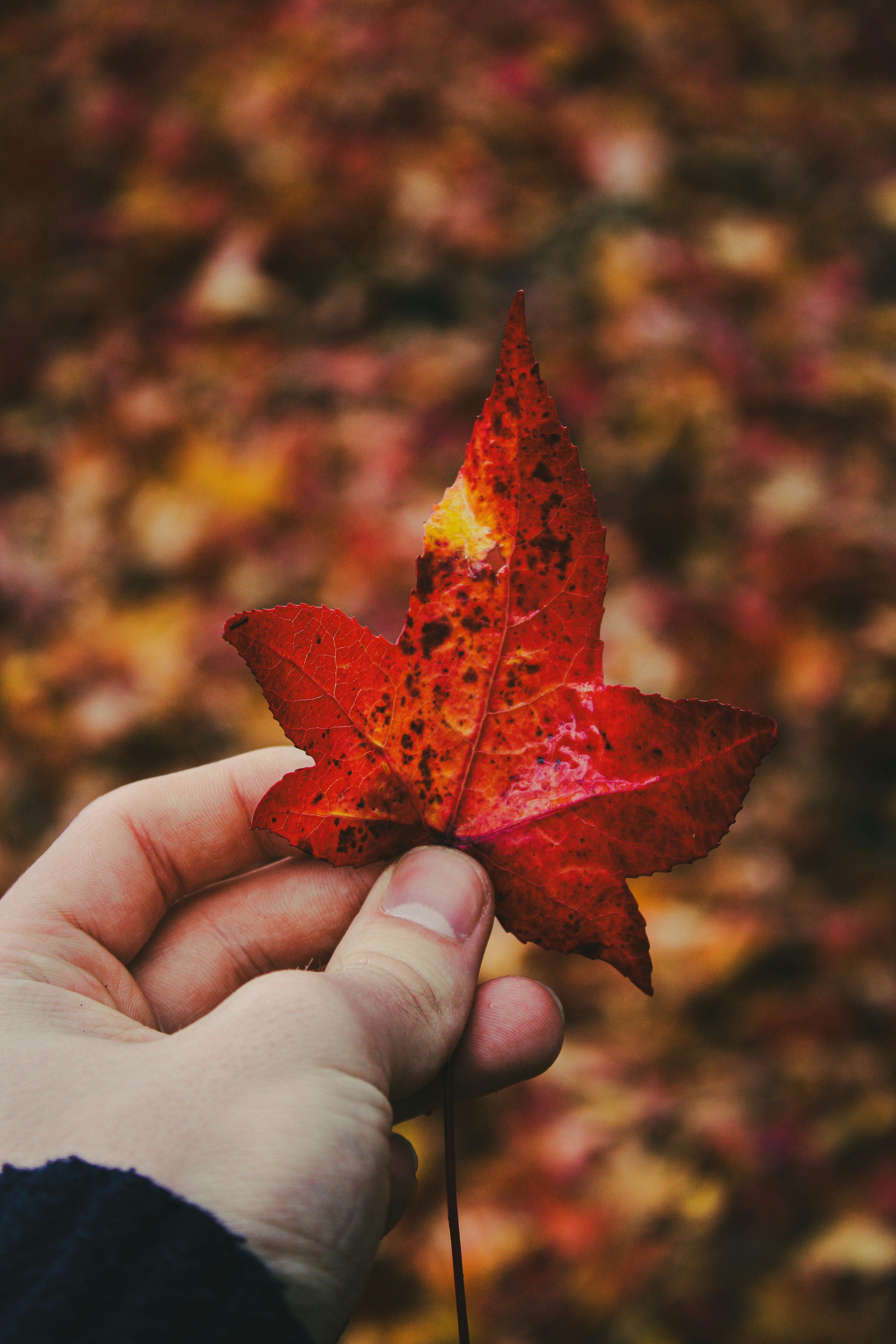 Photo by willcorrigan06