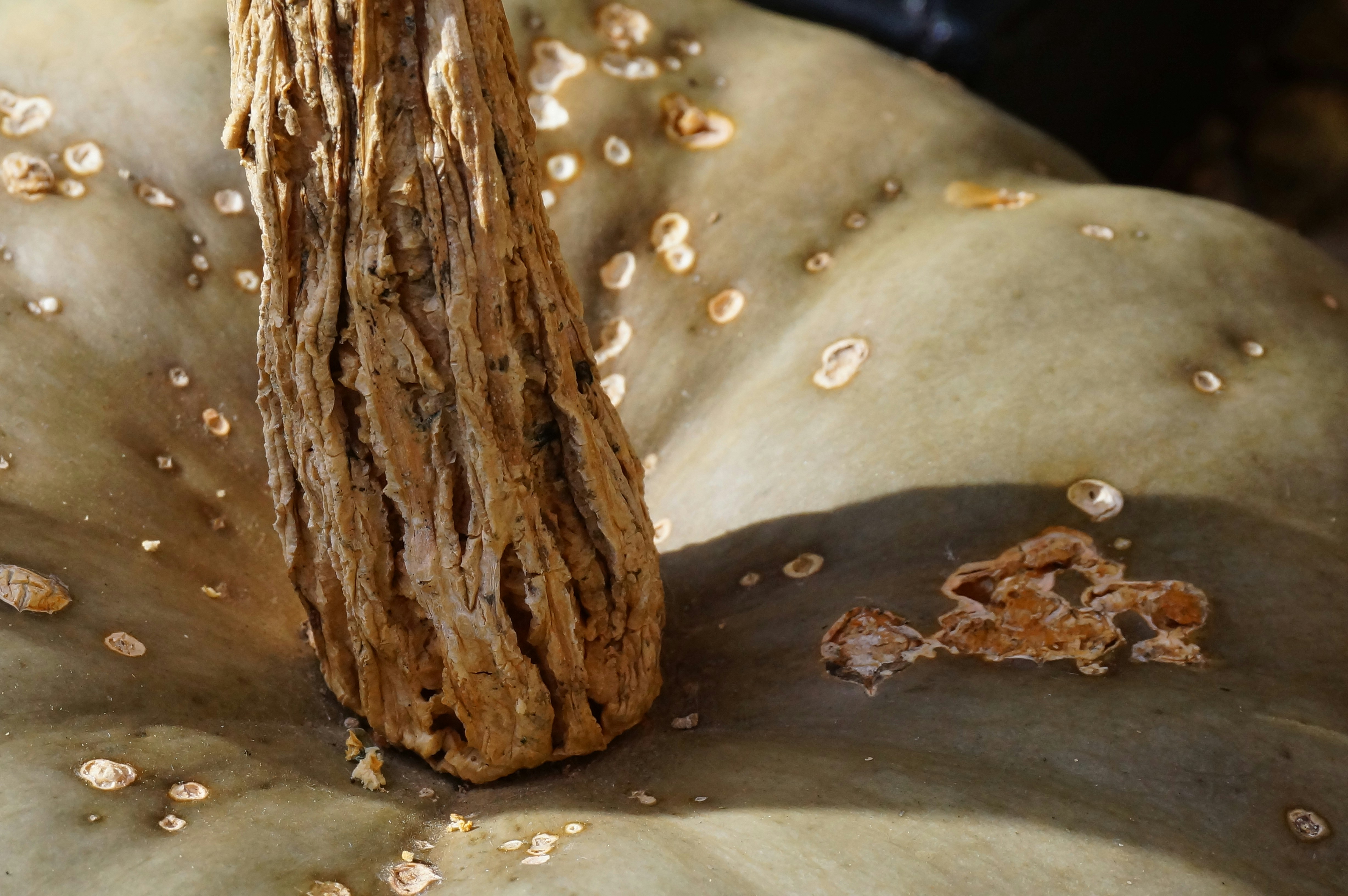 Photo by sugargirl333