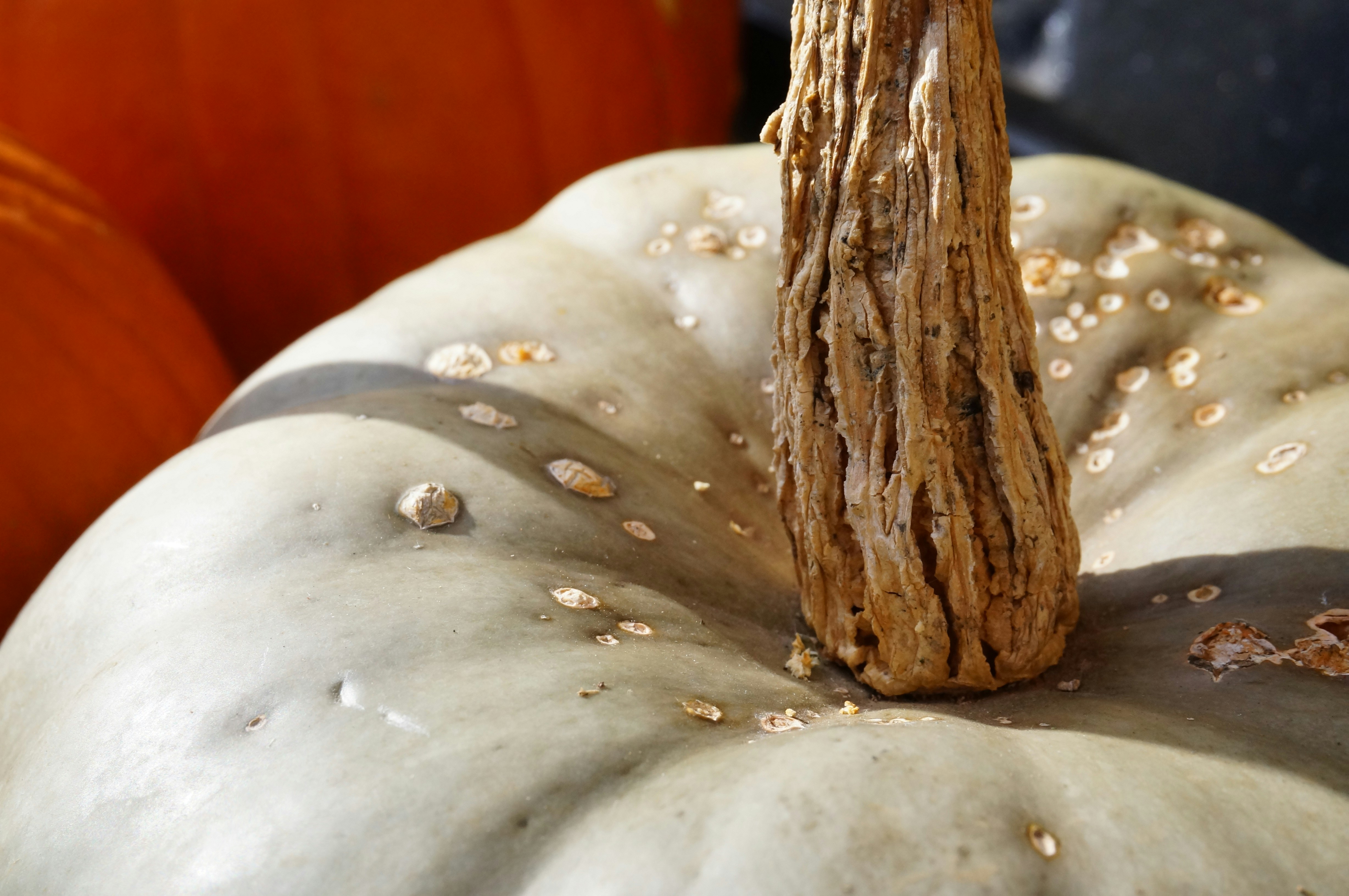 Photo by sugargirl333