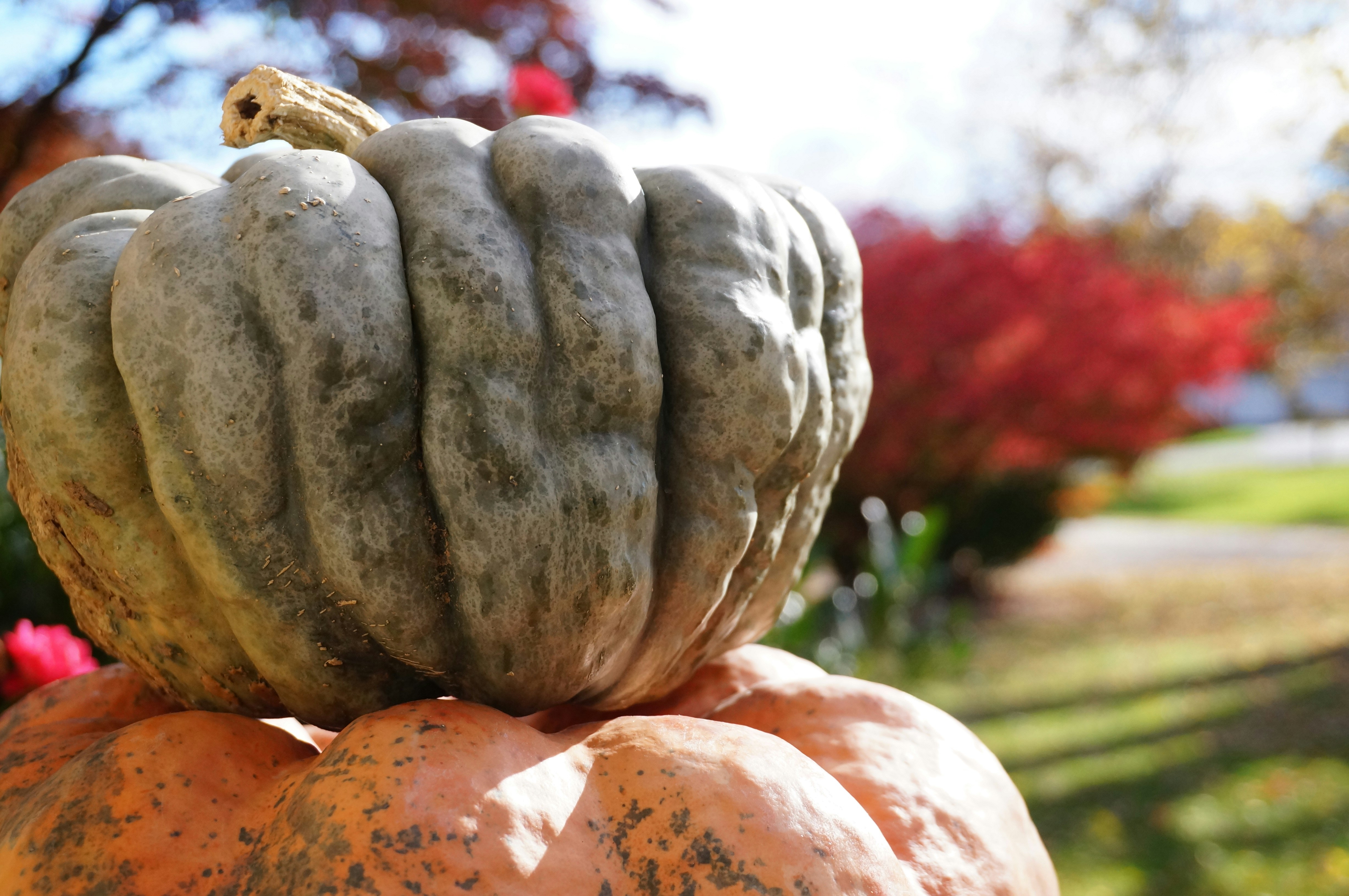 Photo by sugargirl333