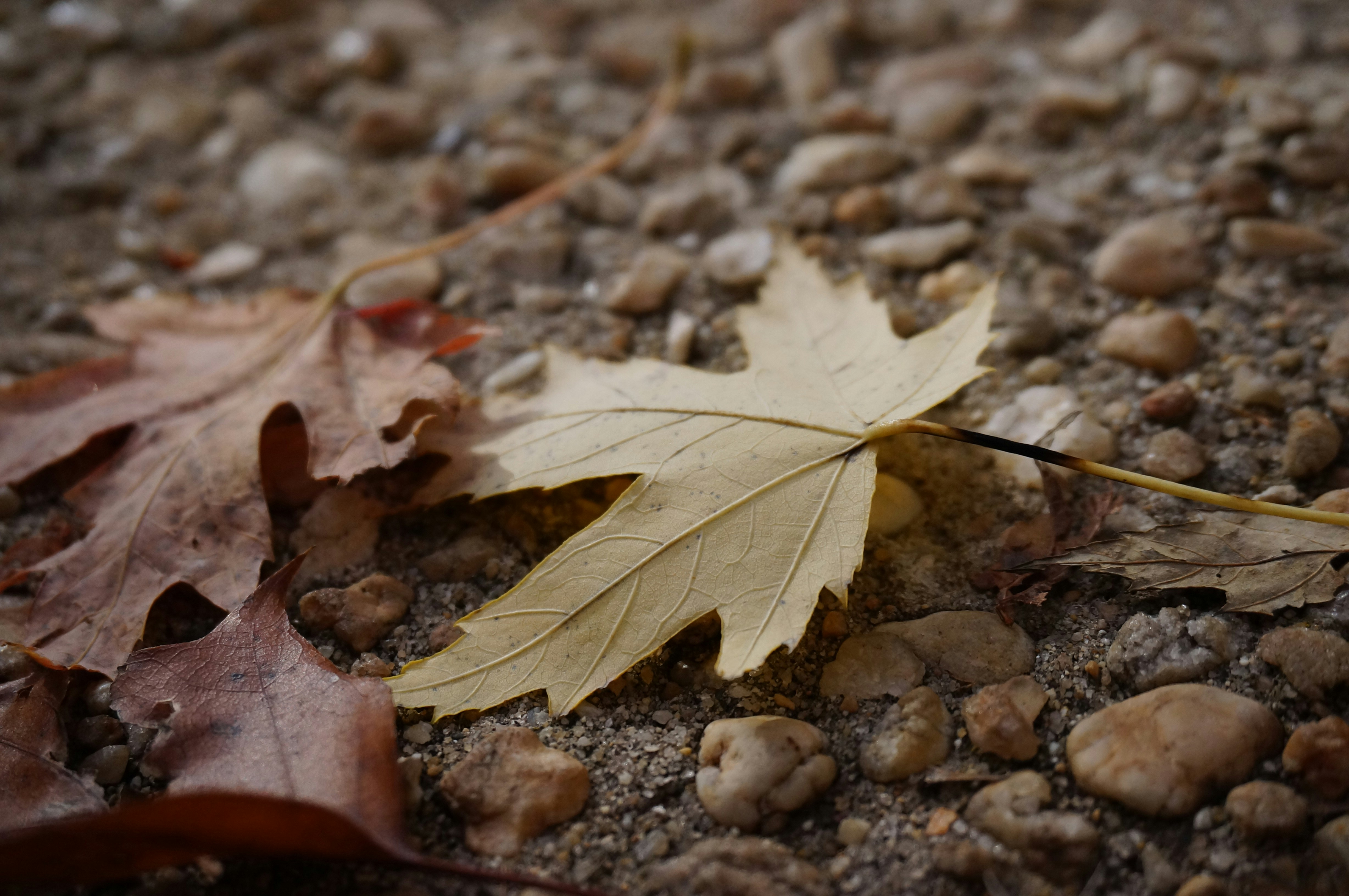 Photo by sugargirl333