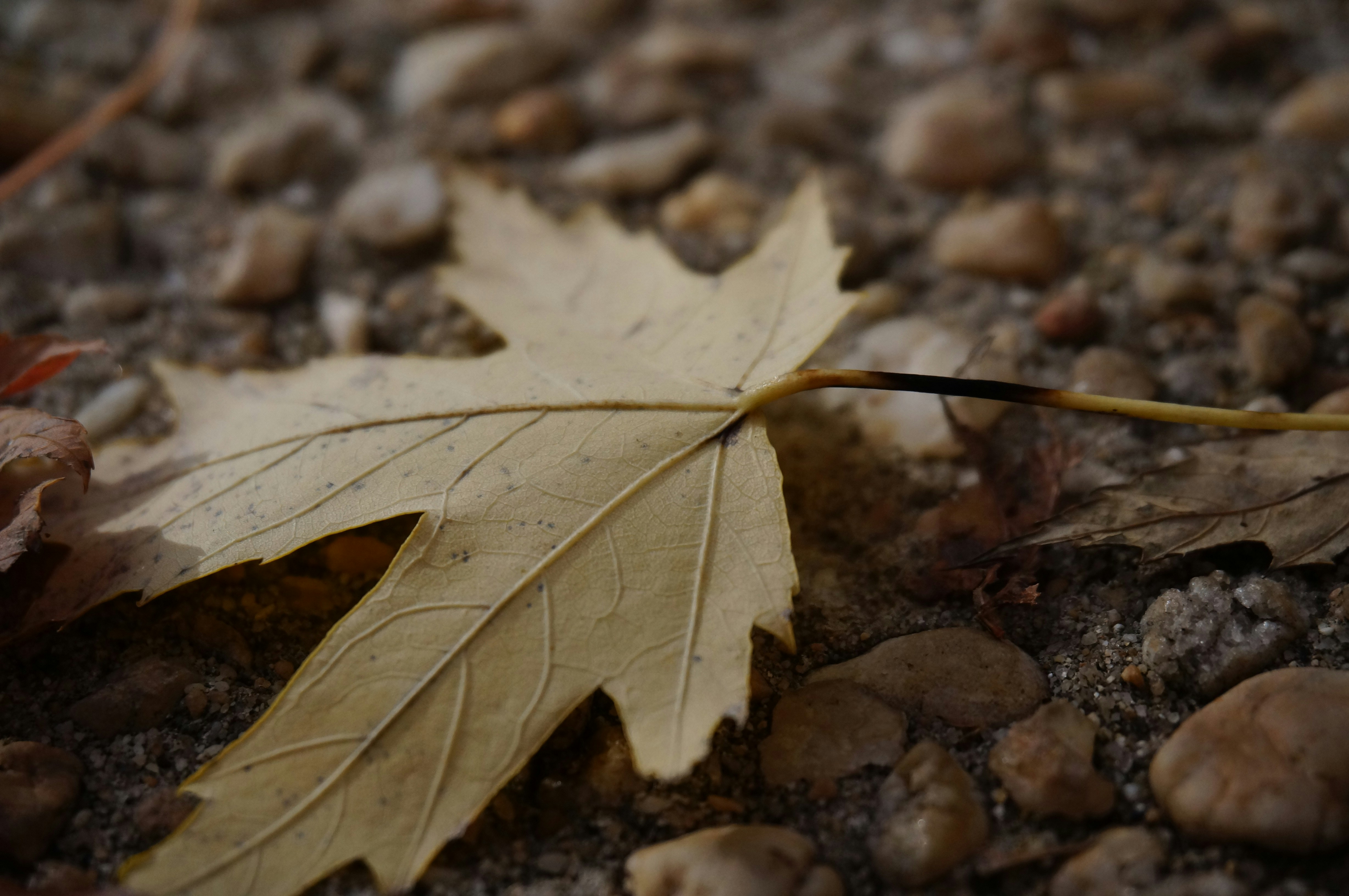 Photo by sugargirl333