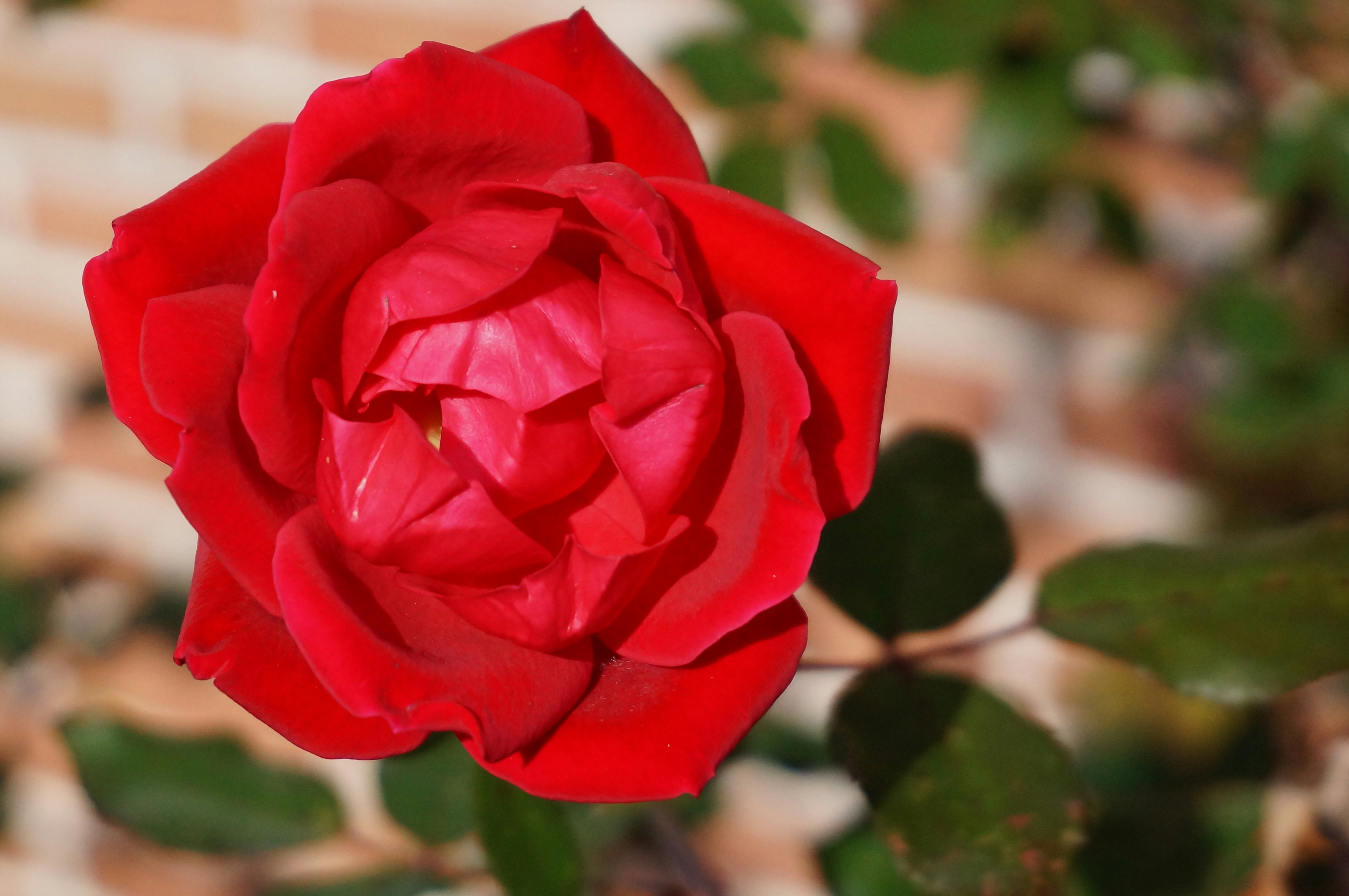 Photo by sugargirl333