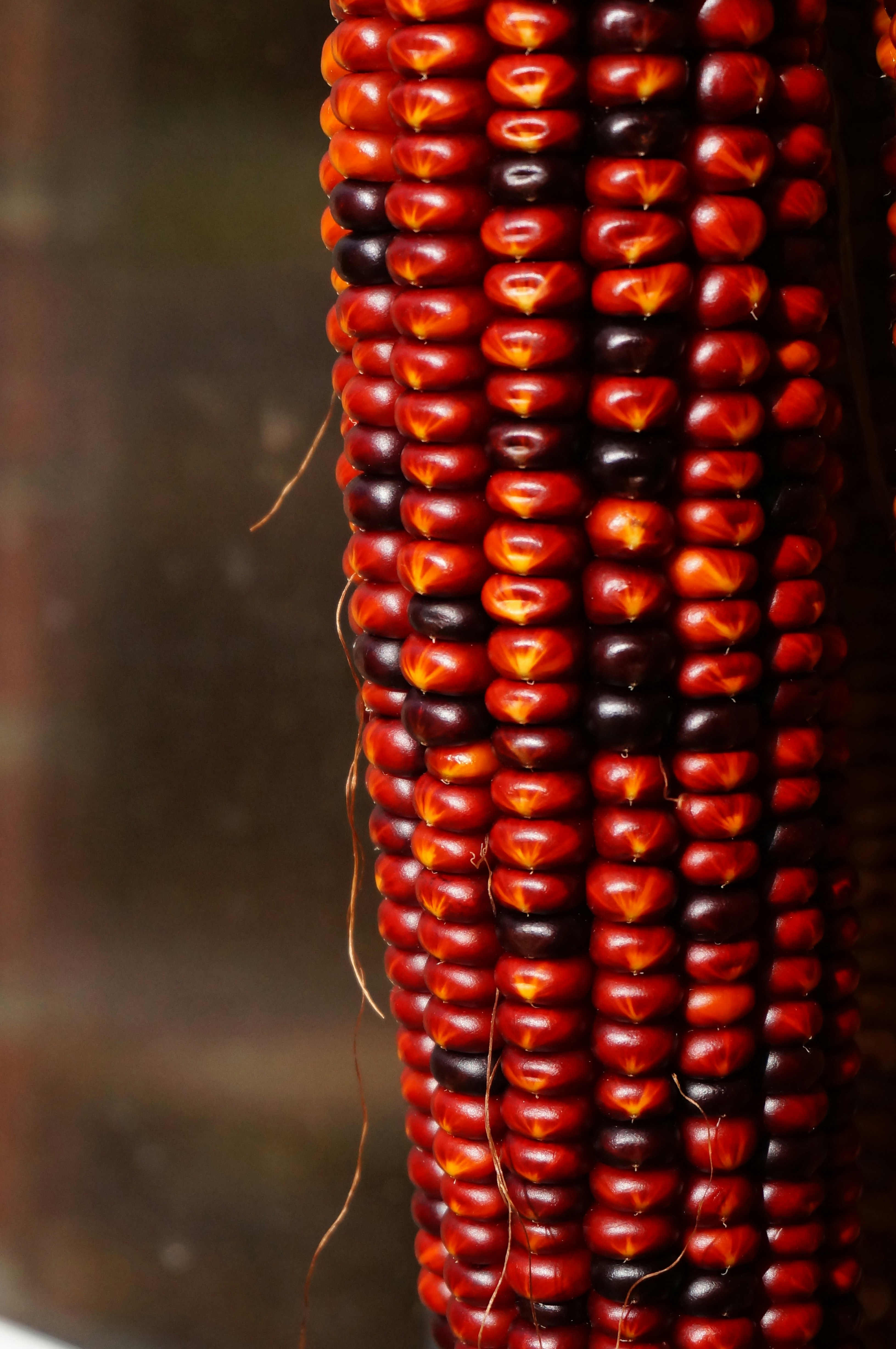 Photo by sugargirl333