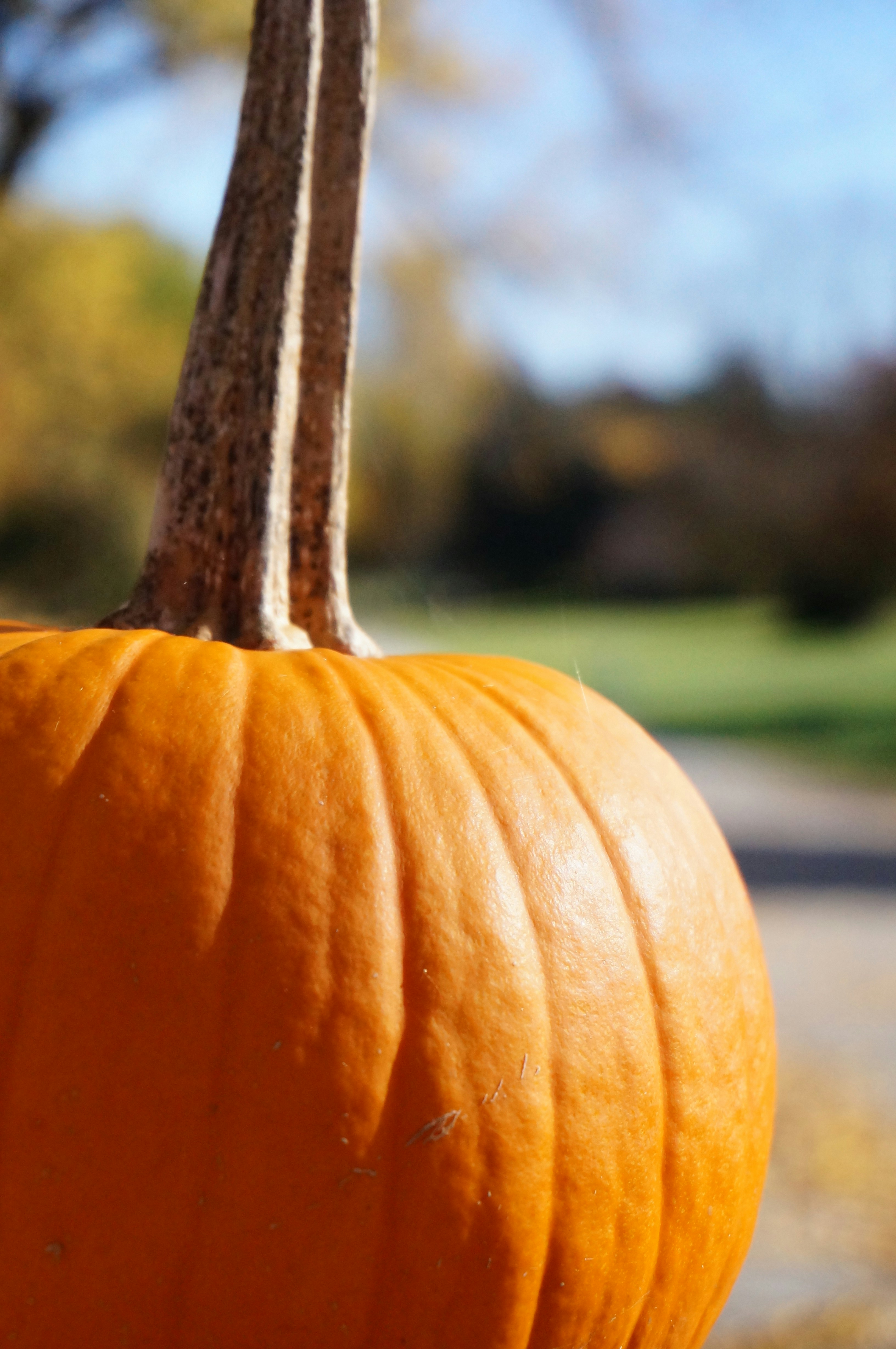 Photo by sugargirl333