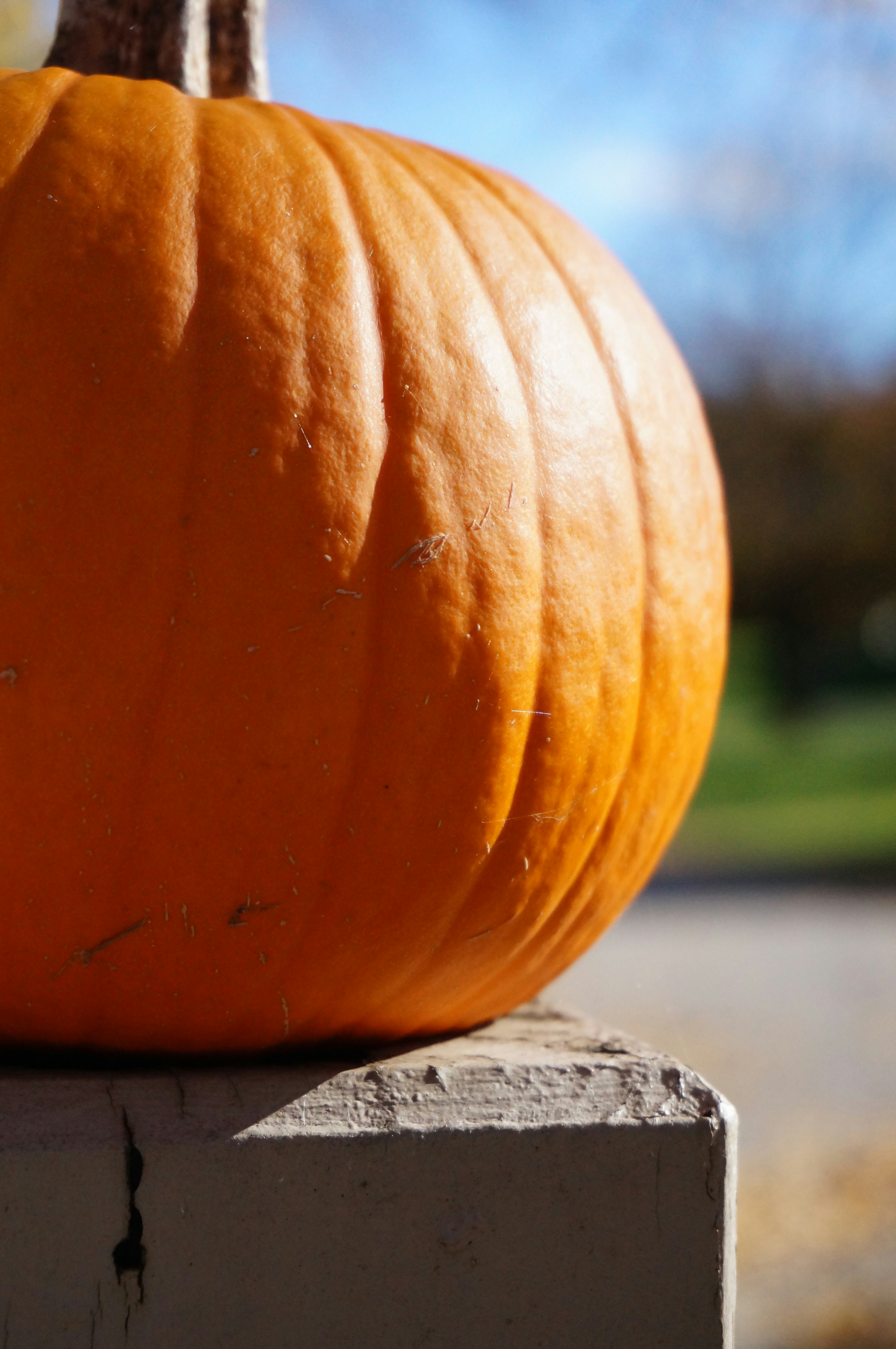 Photo by sugargirl333