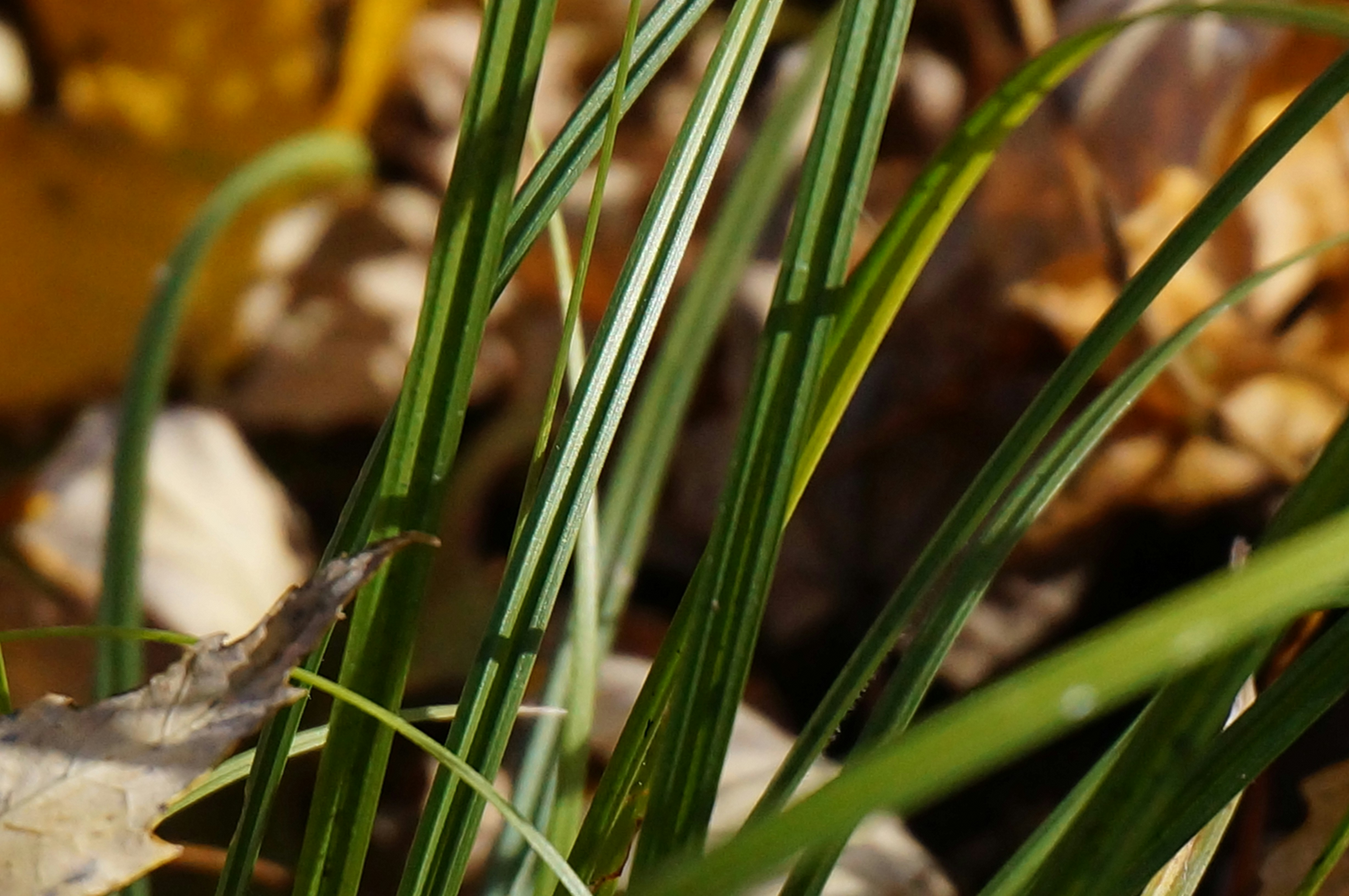 Photo by sugargirl333