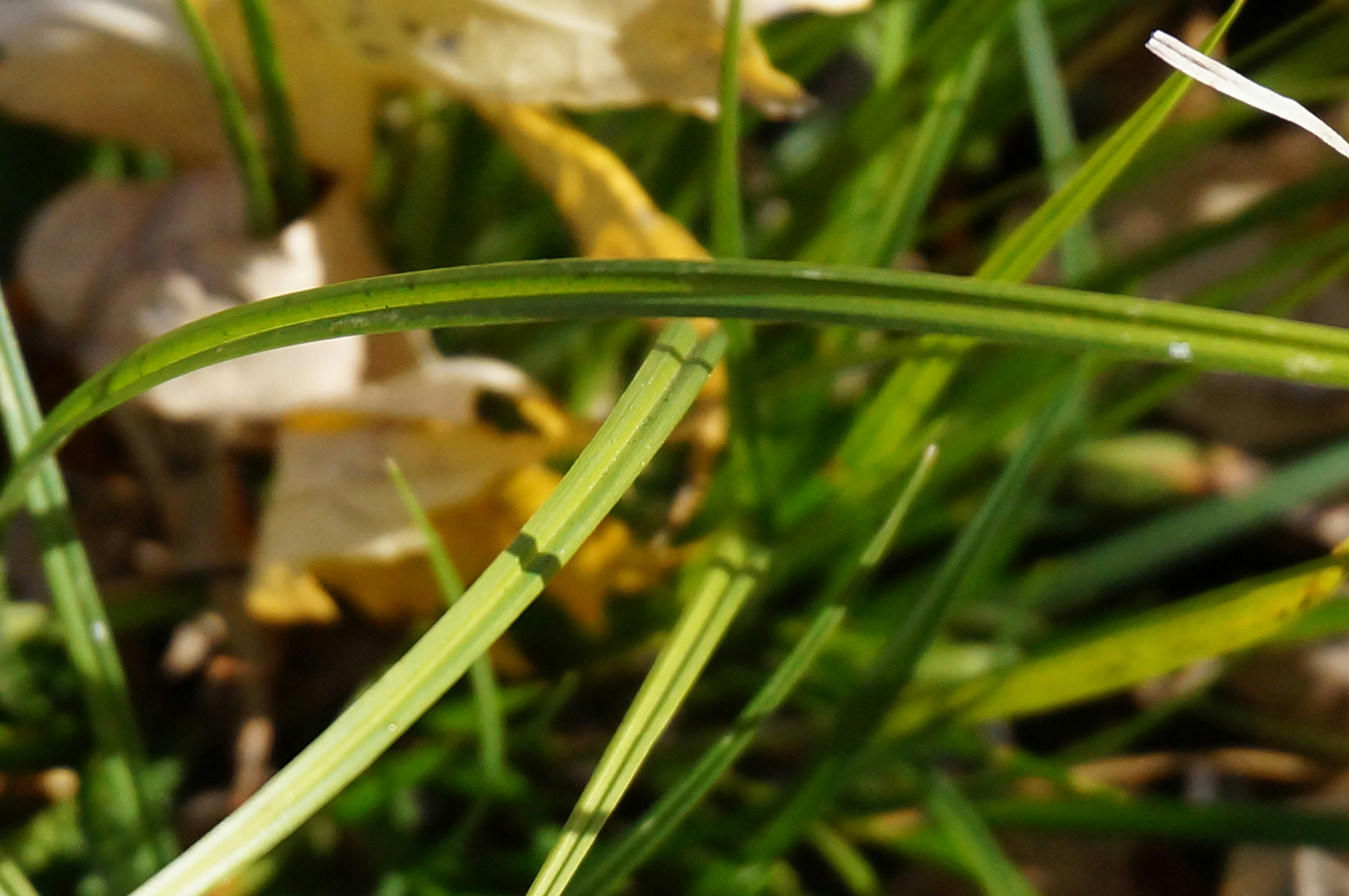 Photo by sugargirl333