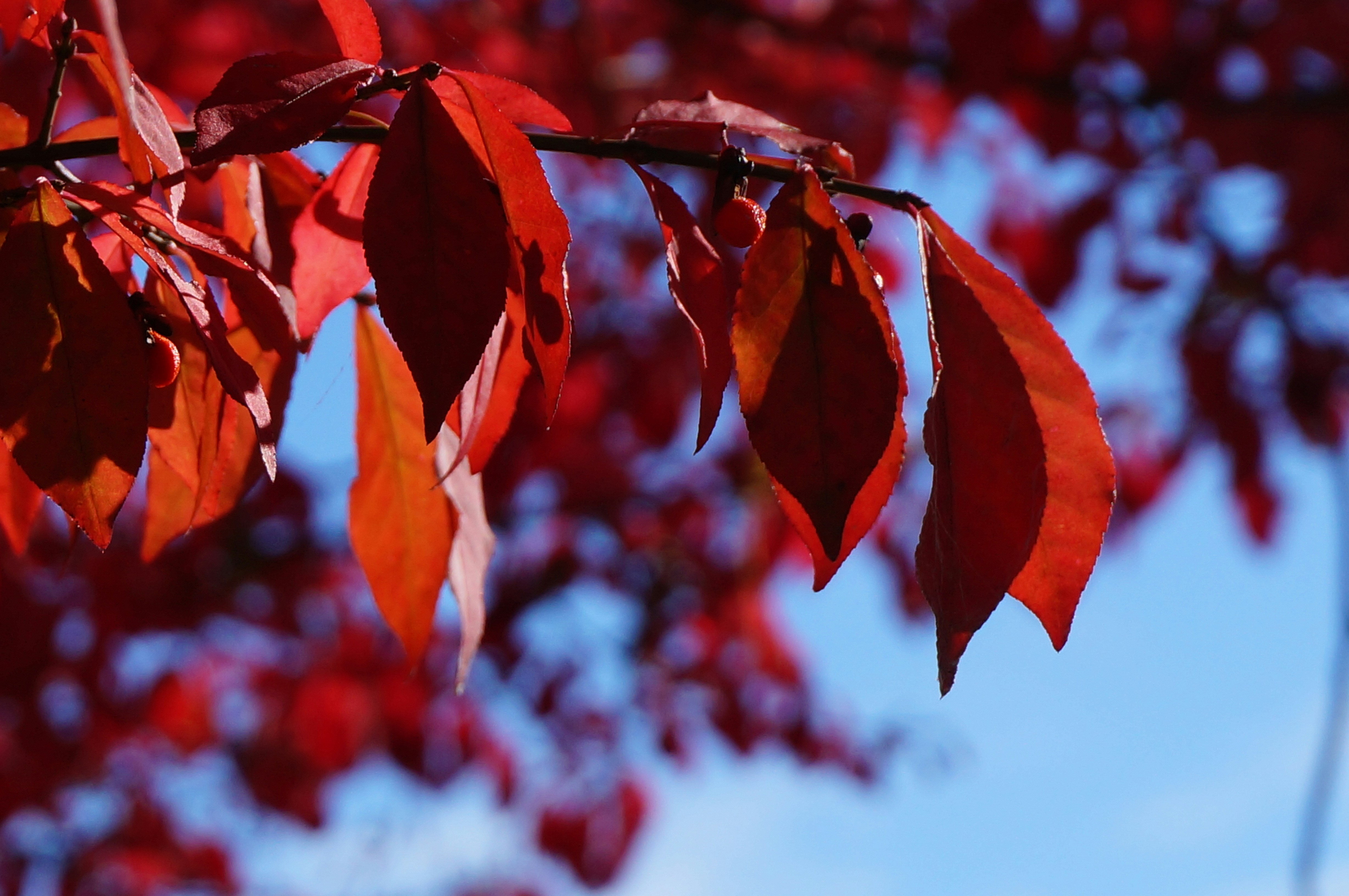 Photo by sugargirl333