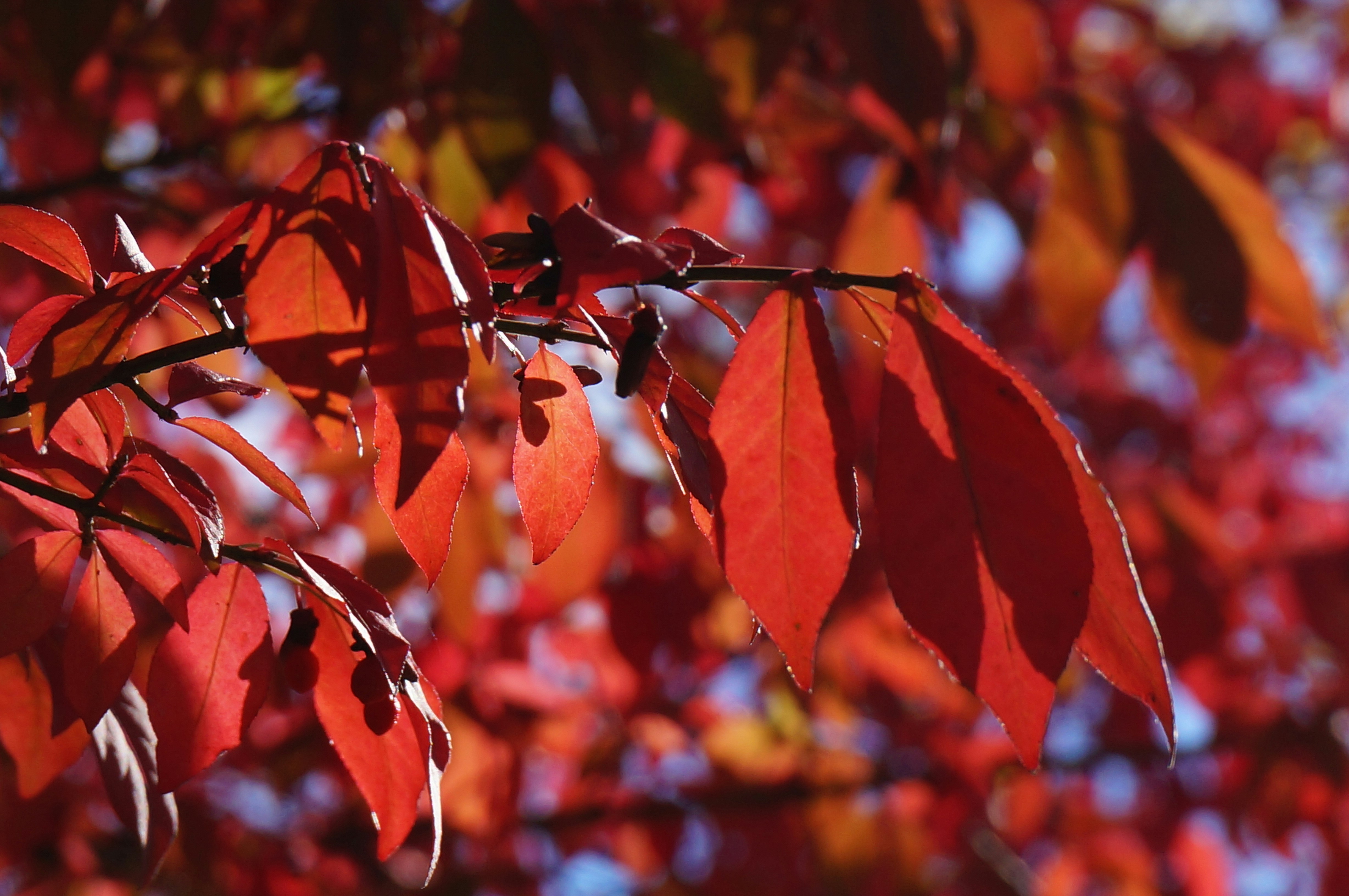 Photo by sugargirl333