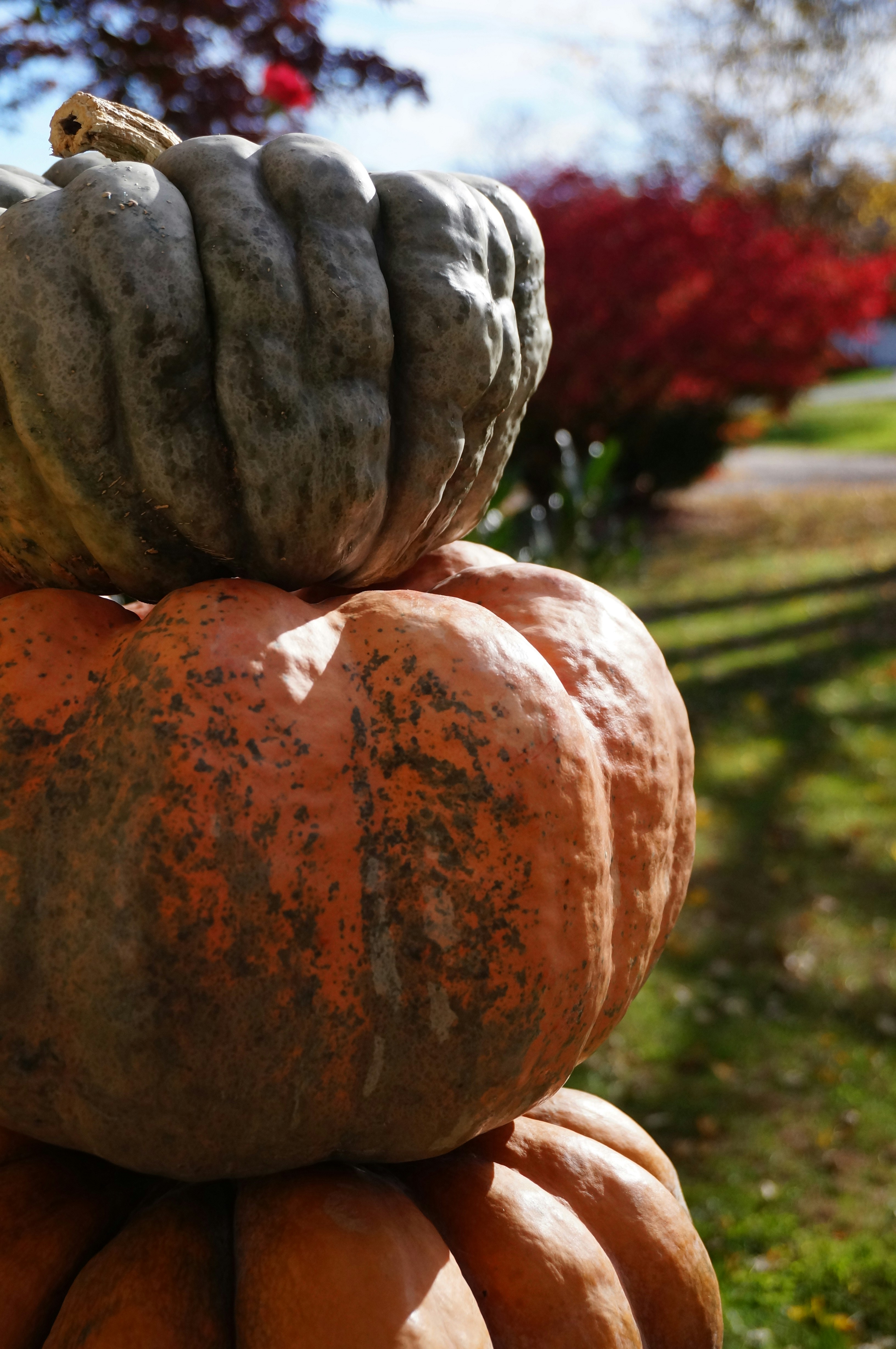 Photo by sugargirl333