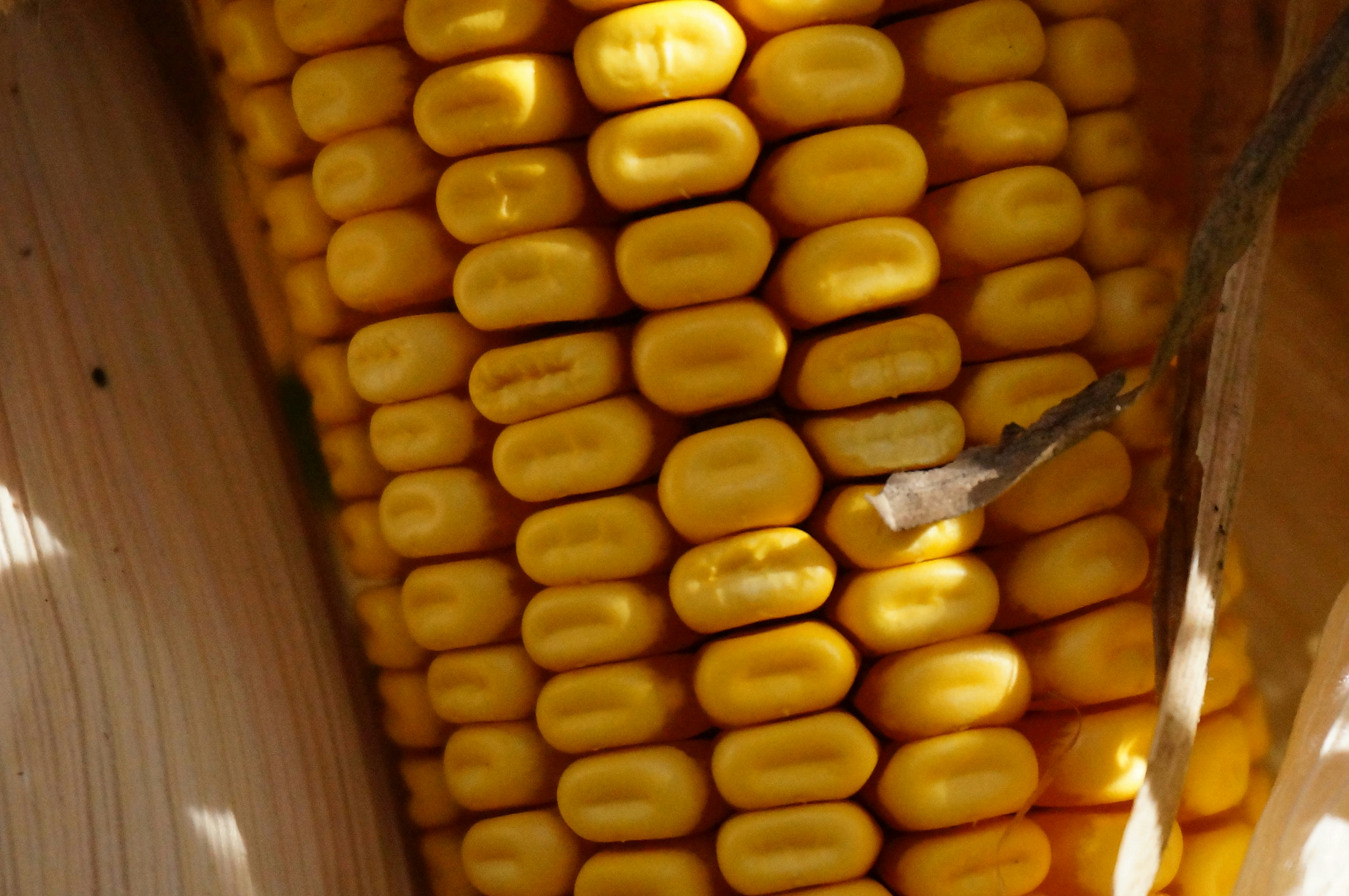 Photo by sugargirl333