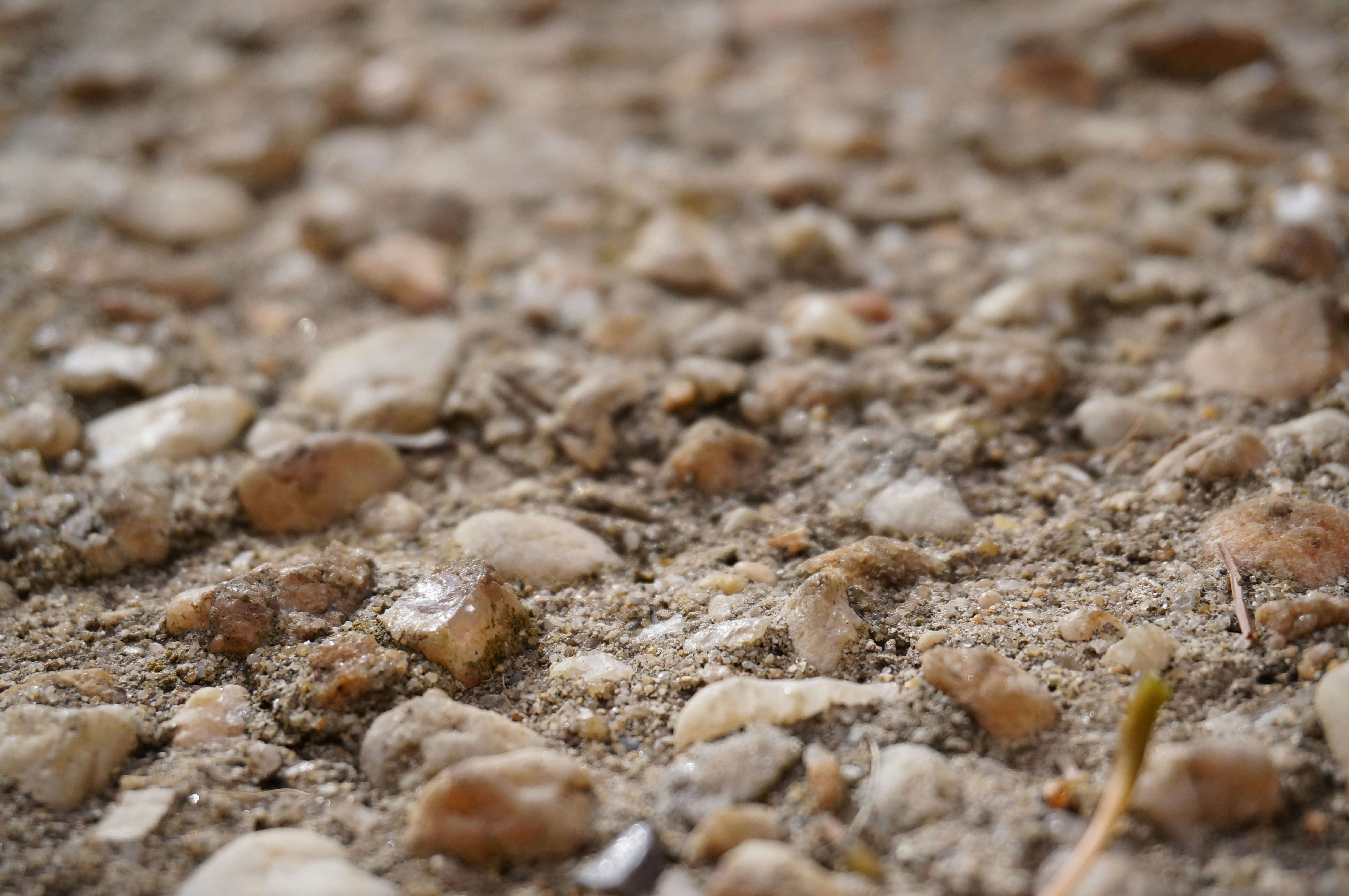 Photo by sugargirl333