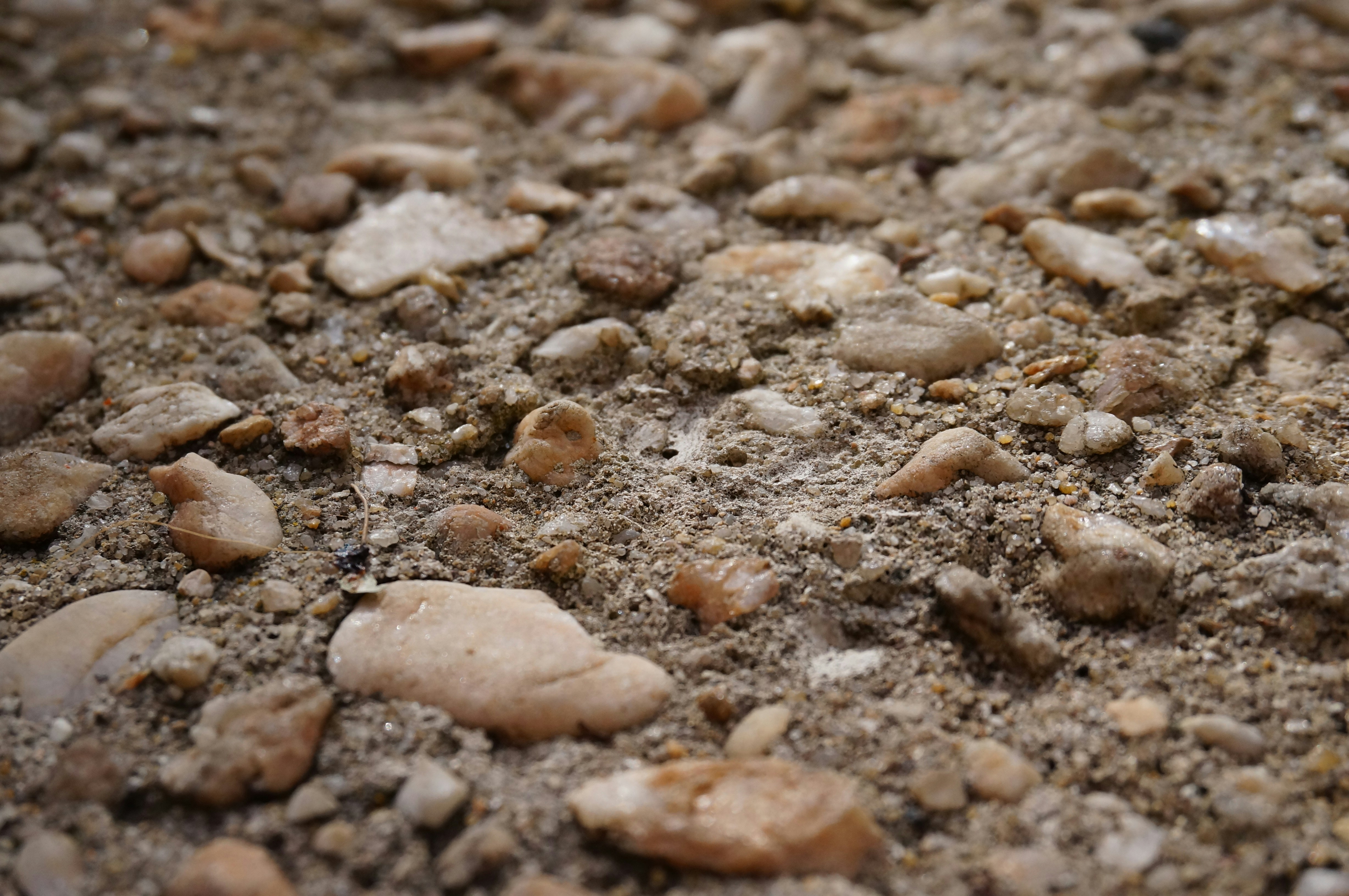 Photo by sugargirl333