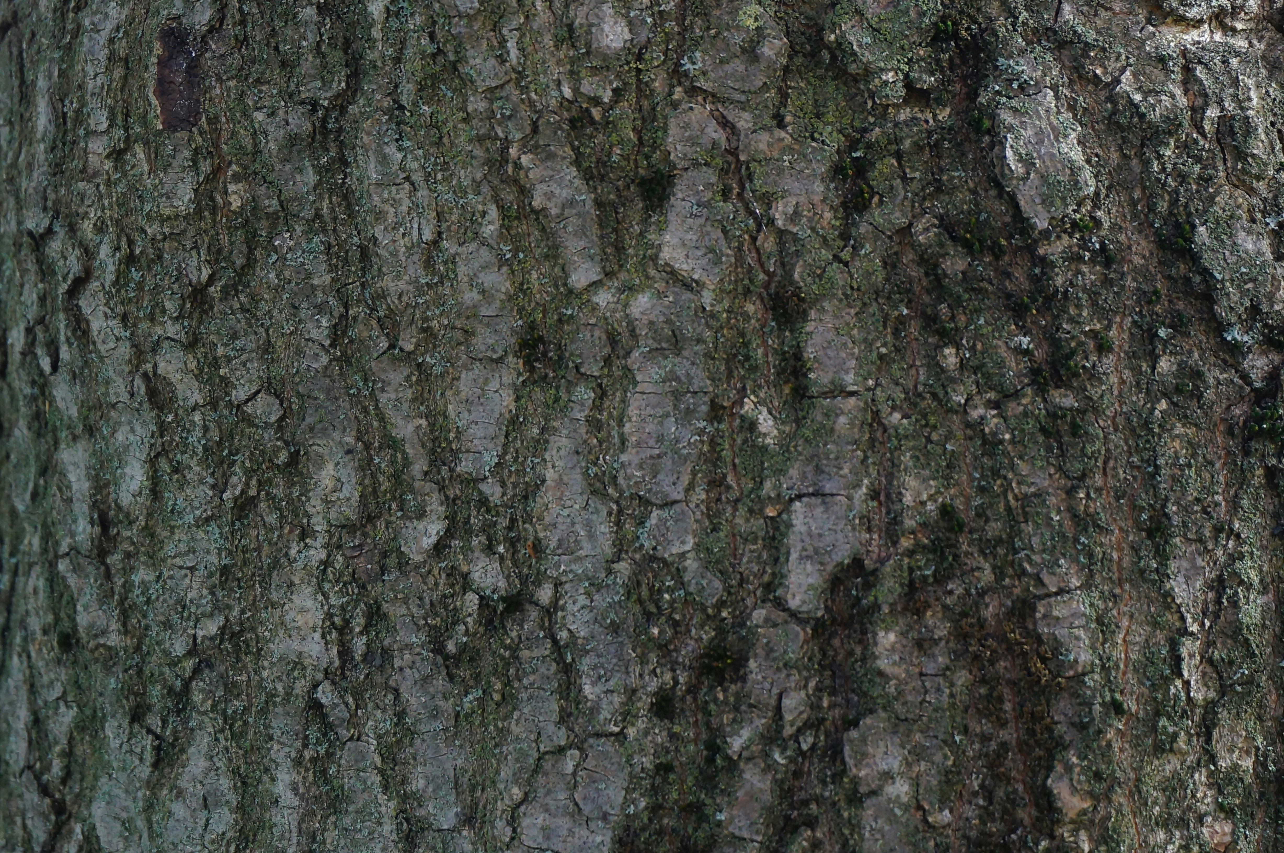 Photo by sugargirl333